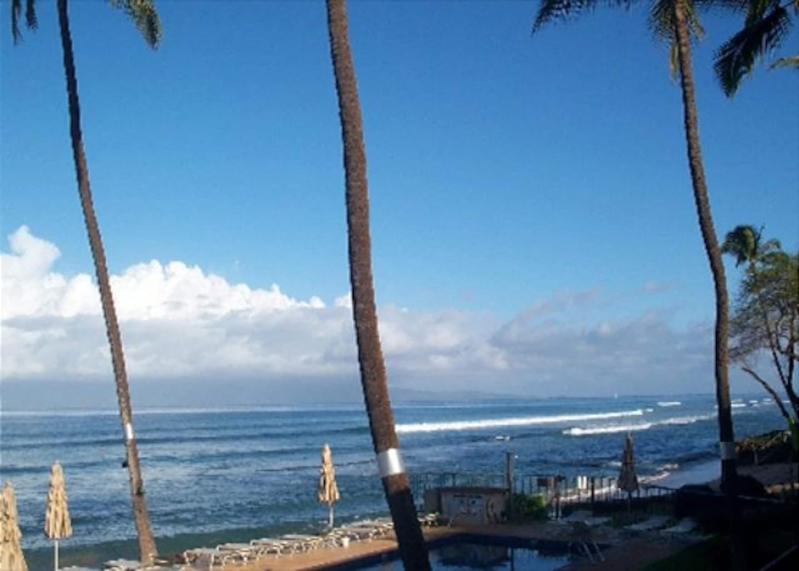 Condo in Lahaina · ★4.7 · 1 bedroom · 1 bed · 1 private bath - Image 16