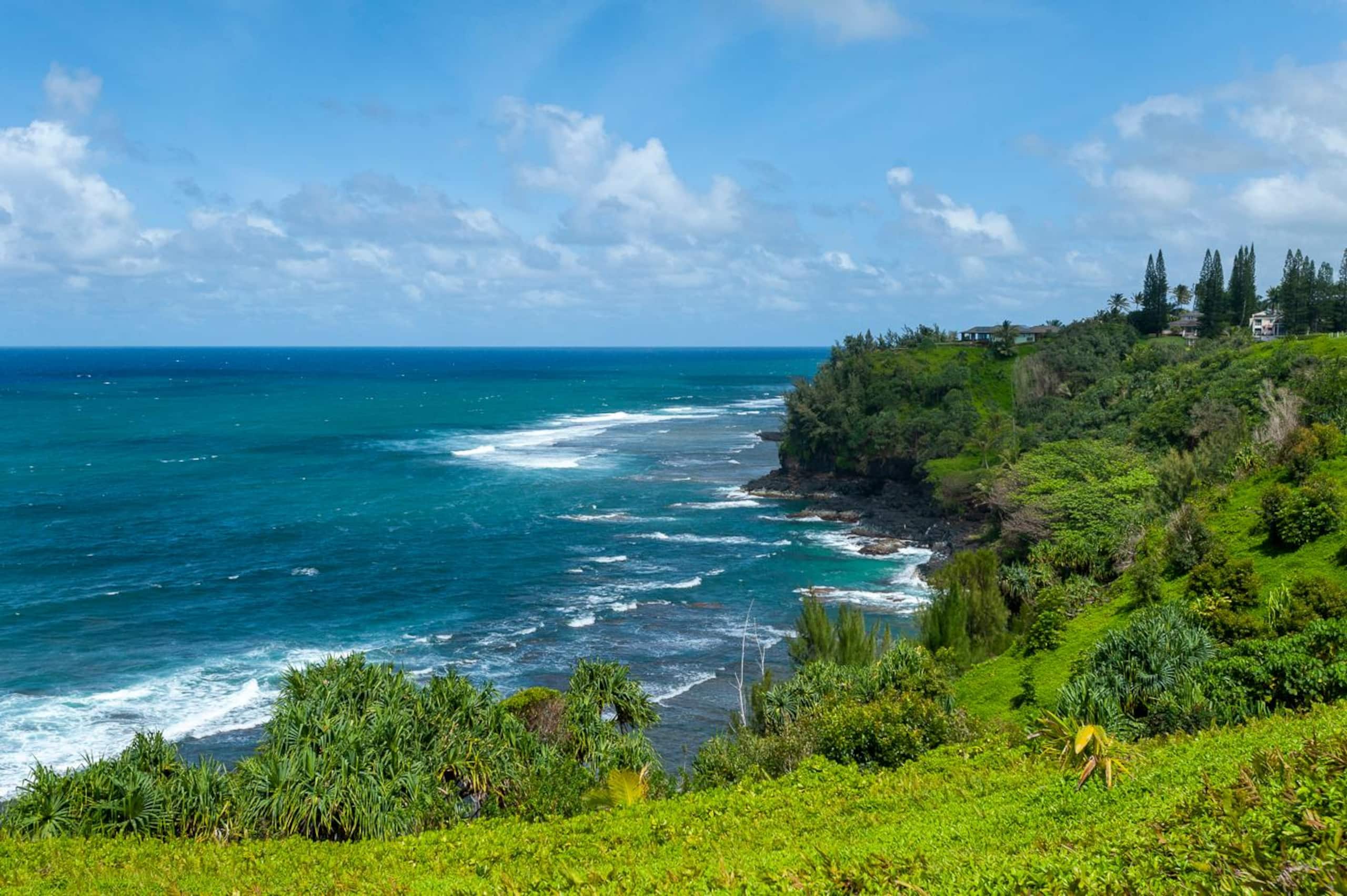 Condo in Princeville · ★4.82 · 2 bedrooms · 2 beds · 2 baths - Image 32