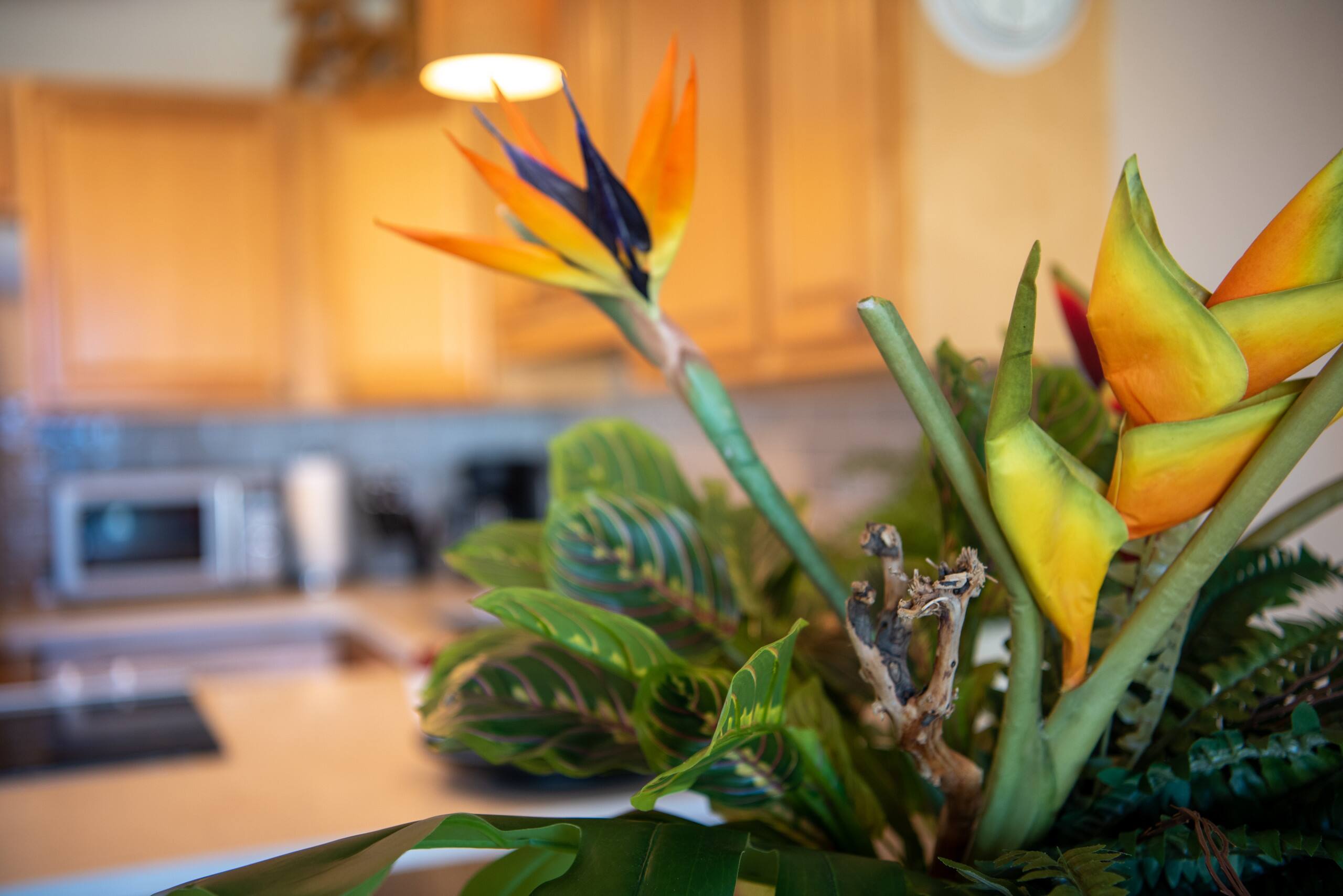 Condo in Kihei · ★4.89 · 1 bedroom · 2 beds · 1 bath - Image 15