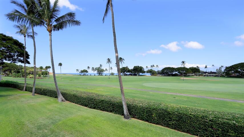 Maui Eldorado J207: Frontline Ocean View 2 Bedroom