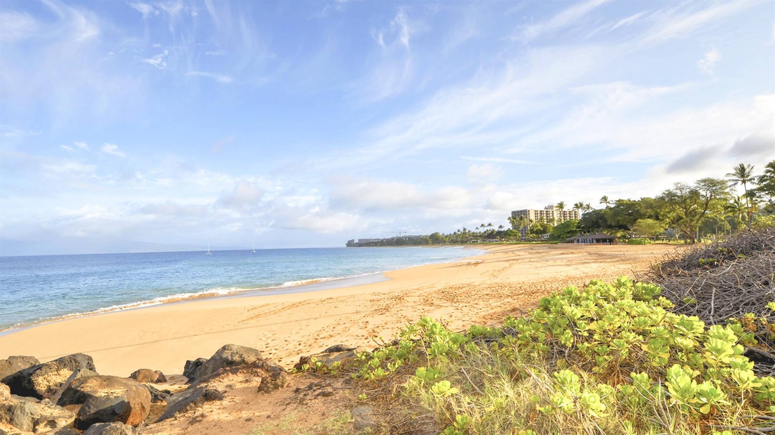 Condo in Lahaina · ★5.0 · 2 bedrooms · 3 beds · 2 baths - Image 49