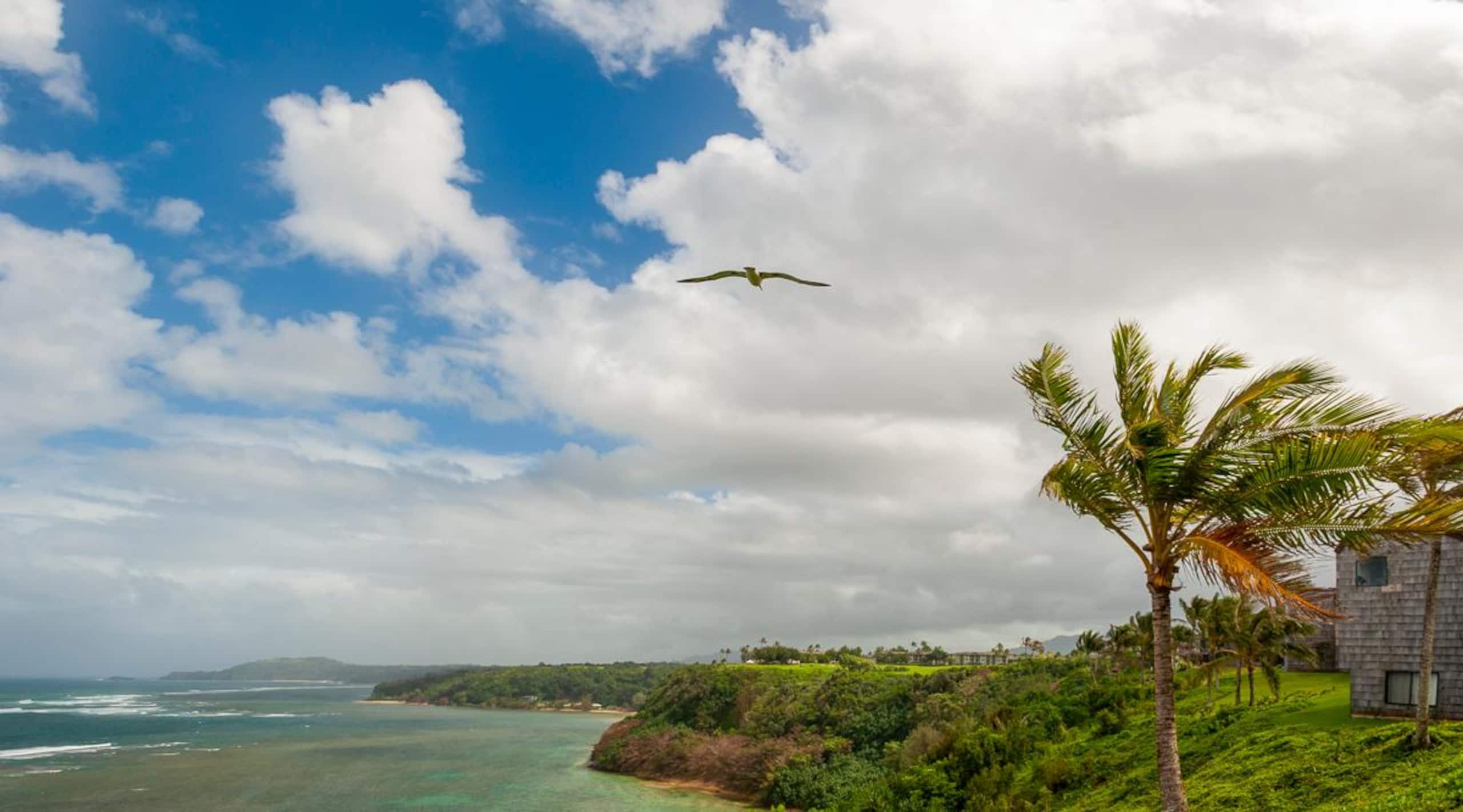 Condo in Princeville · ★4.44 · 1 bedroom · 1 bed · 1 bath - Image 22