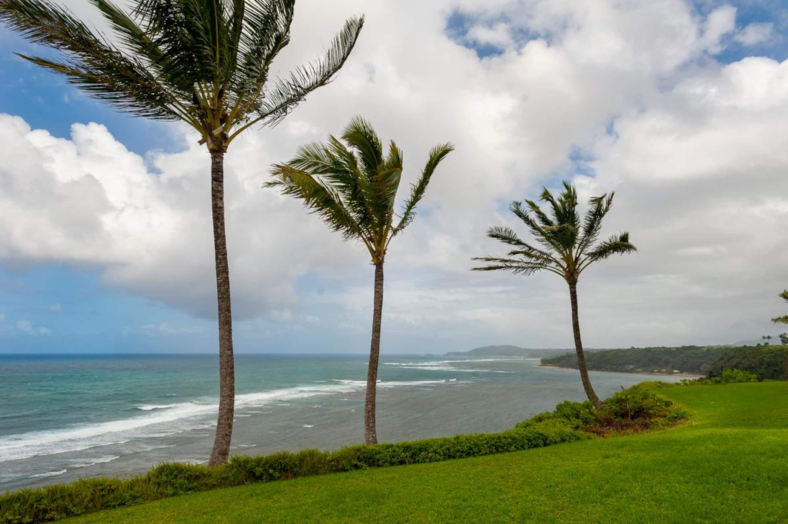 Condo in Princeville · ★4.44 · 1 bedroom · 1 bed · 1 bath - Image 23