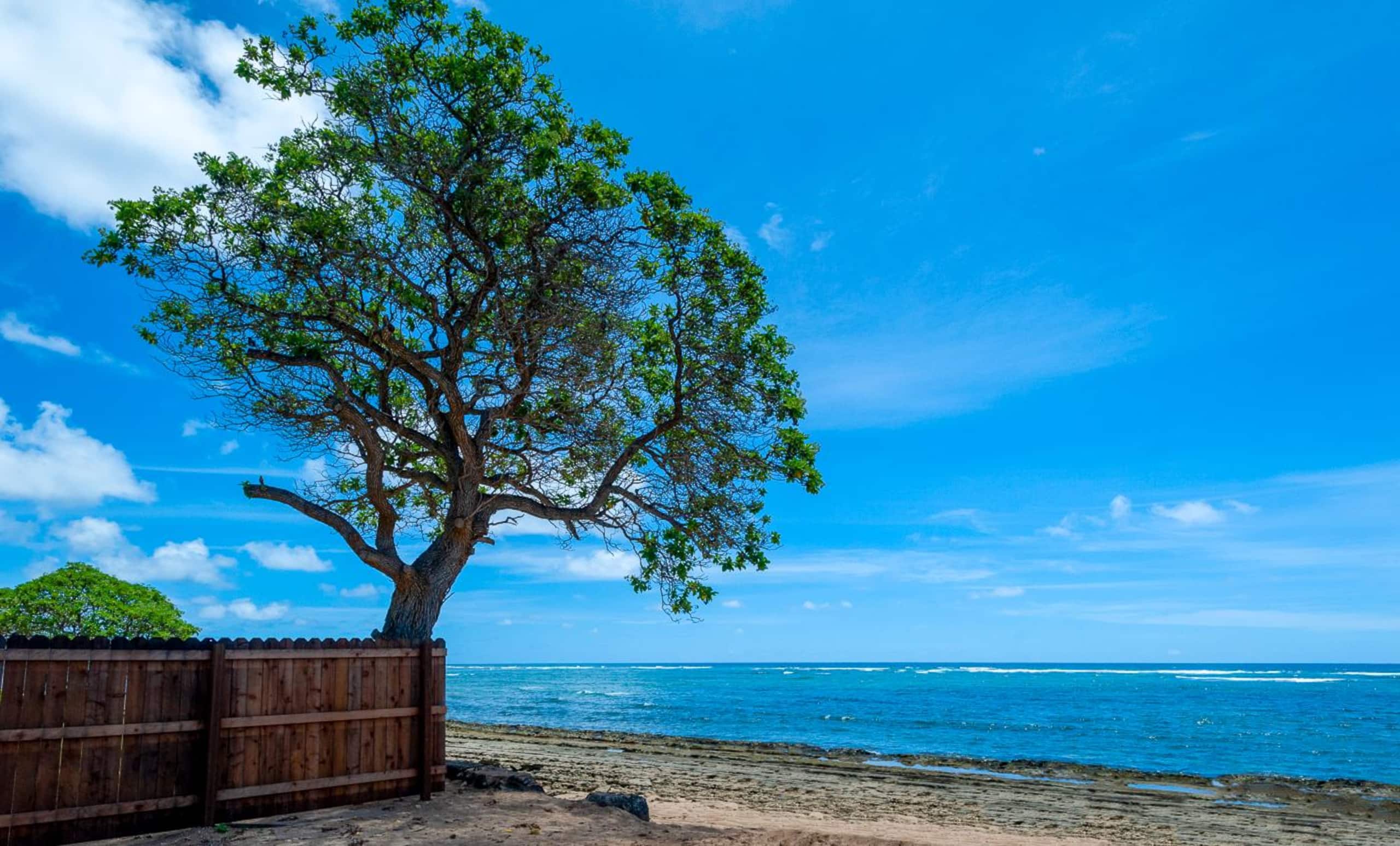 Condo in Kapaa · ★4.43 · 2 bedrooms · 2 beds · 1 private bath - Image 25