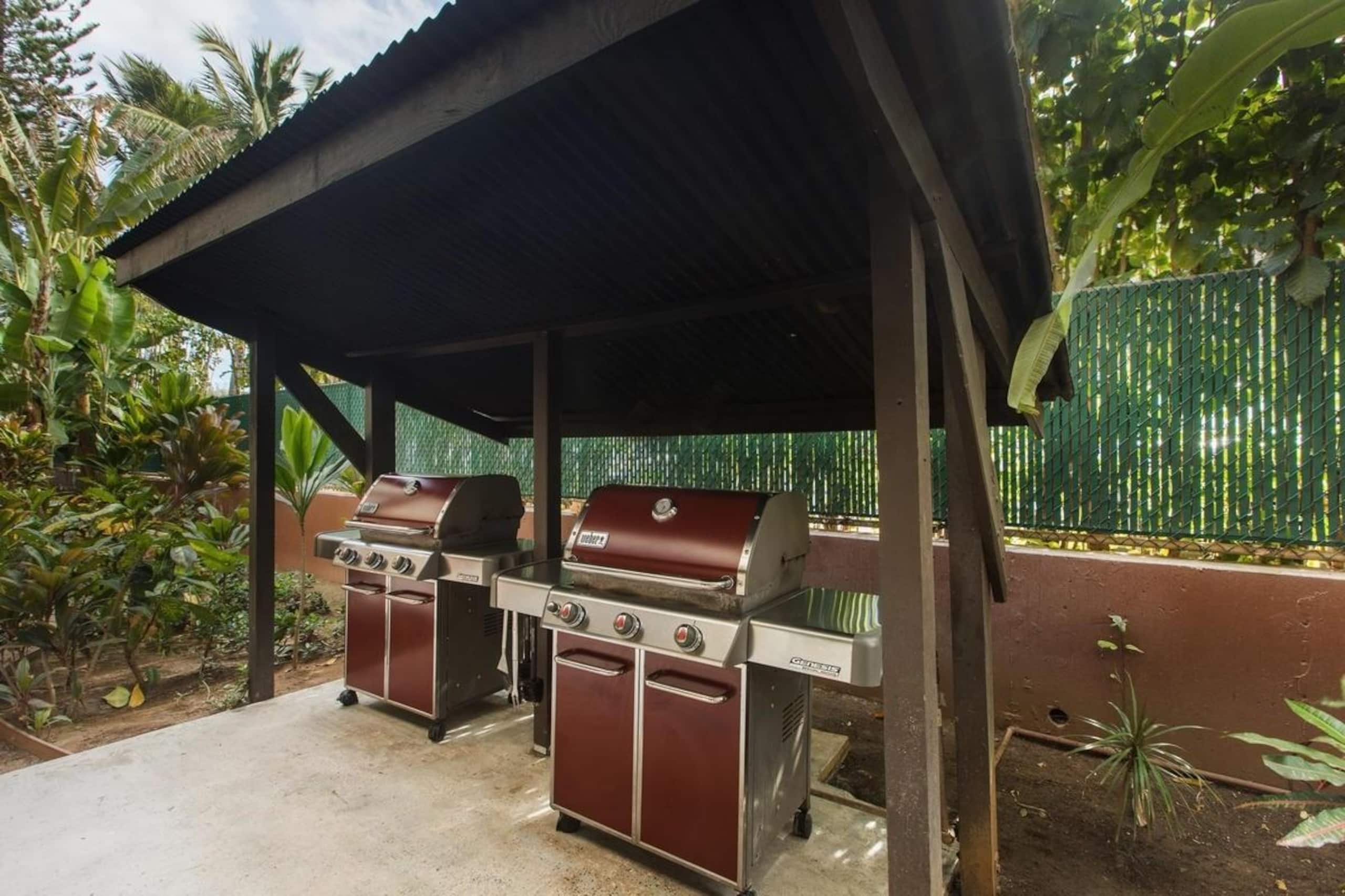 Condo in Kapaa · ★4.43 · 2 bedrooms · 2 beds · 1 private bath - Image 23