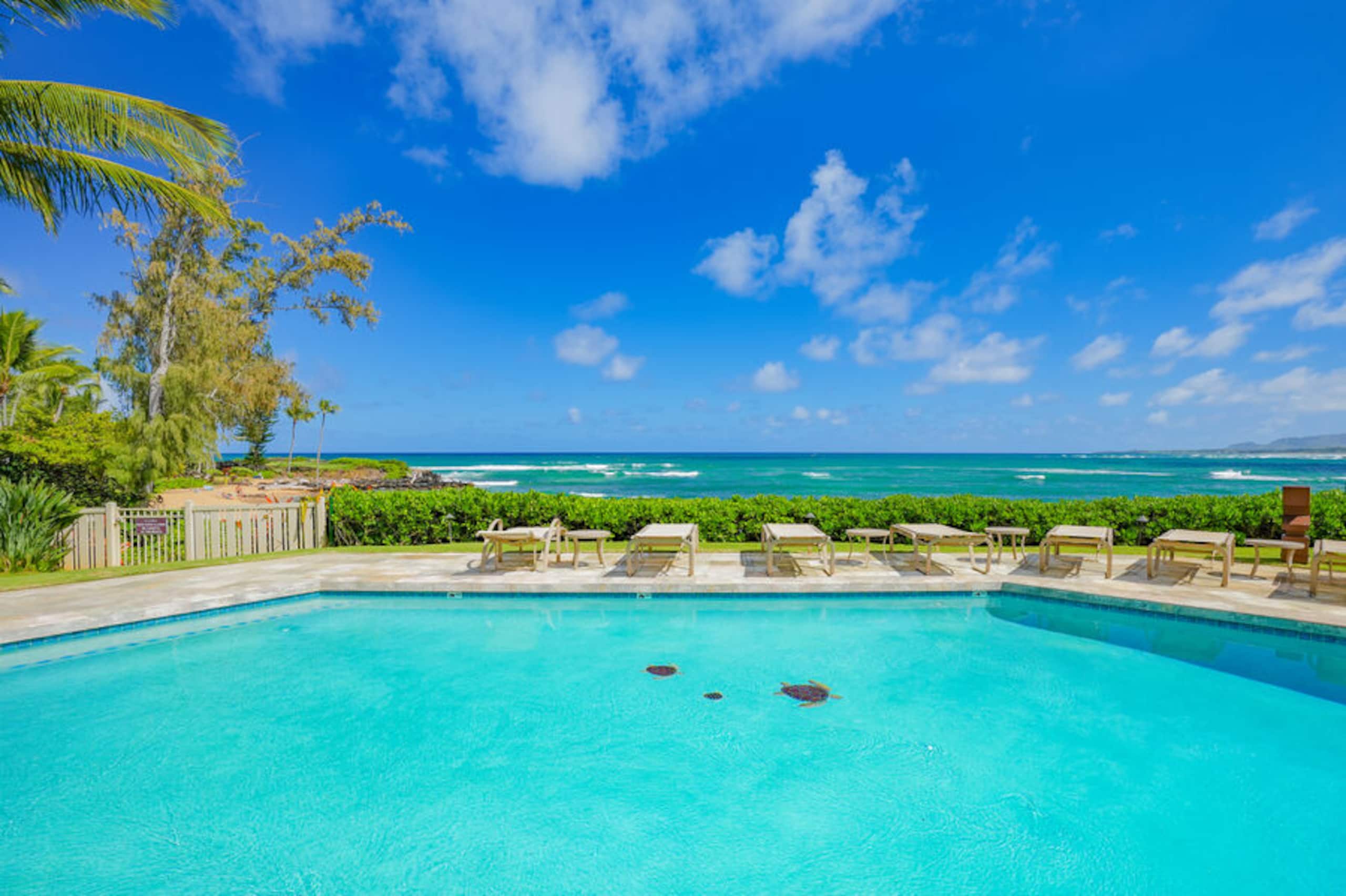 Condo in Kapaa · ★4.8 · 1 bedroom · 1 bed · 2 baths - Image 34