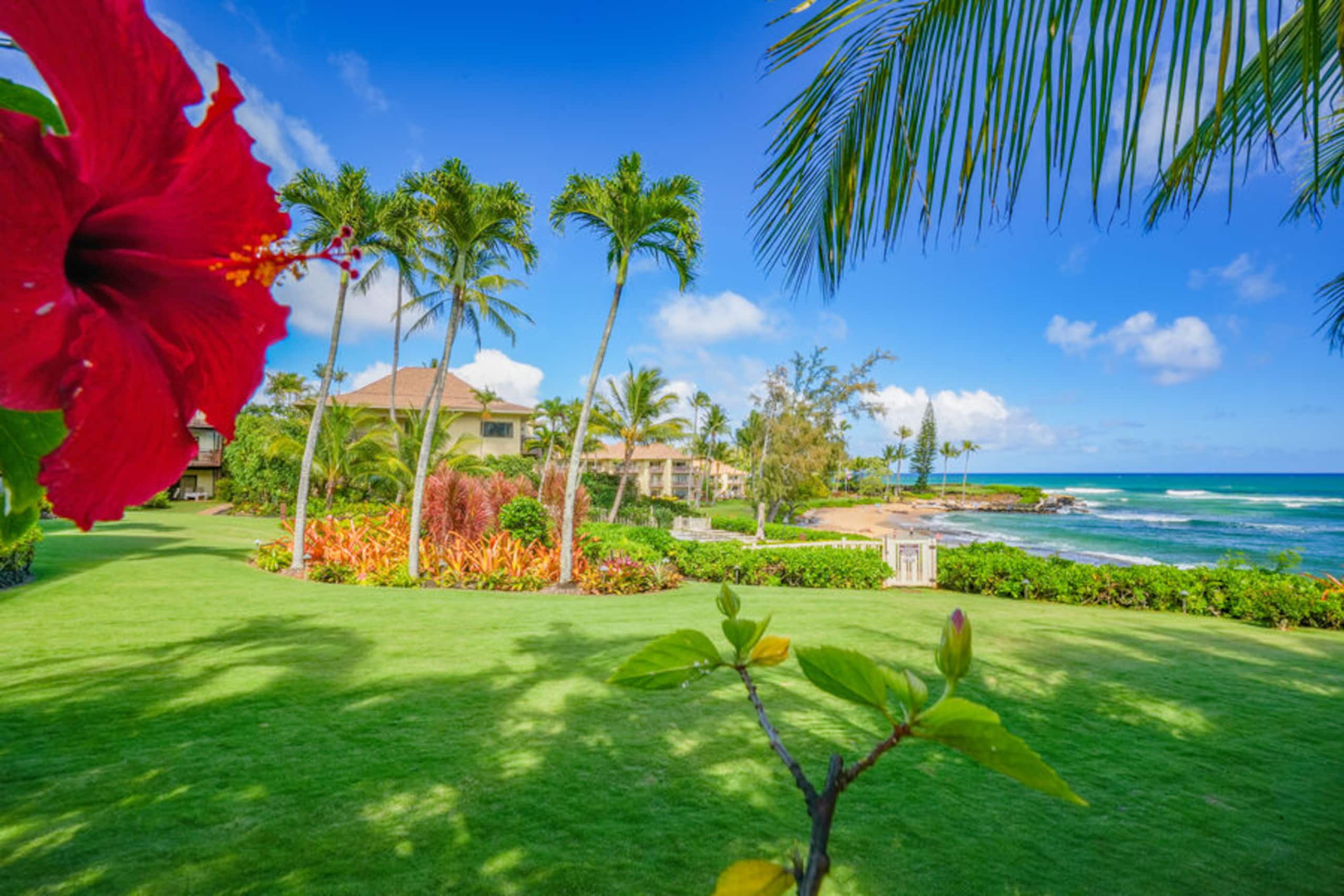Condo in Kapaa · ★4.8 · 1 bedroom · 1 bed · 2 baths - Image 37