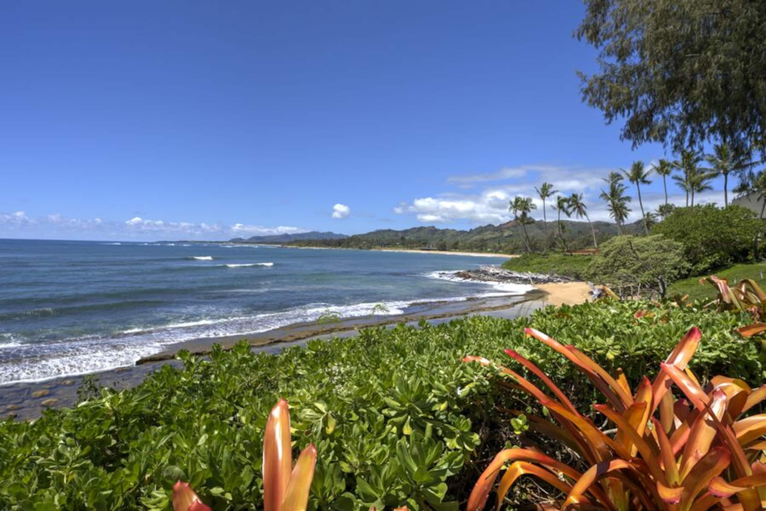 Condo in Kapaa · ★4.8 · 1 bedroom · 1 bed · 2 baths - Image 40