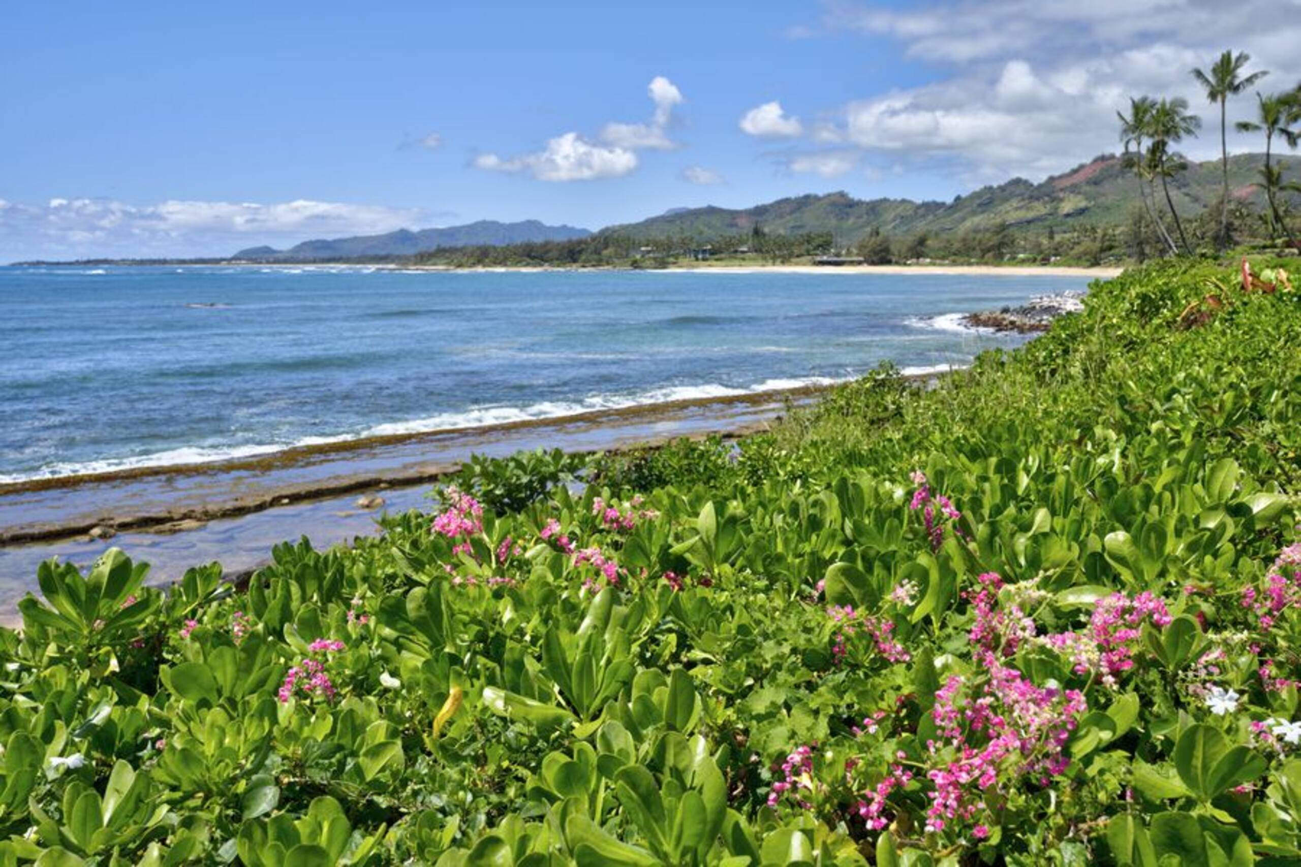 Condo in Kapaa · ★4.8 · 1 bedroom · 1 bed · 2 baths - Image 39
