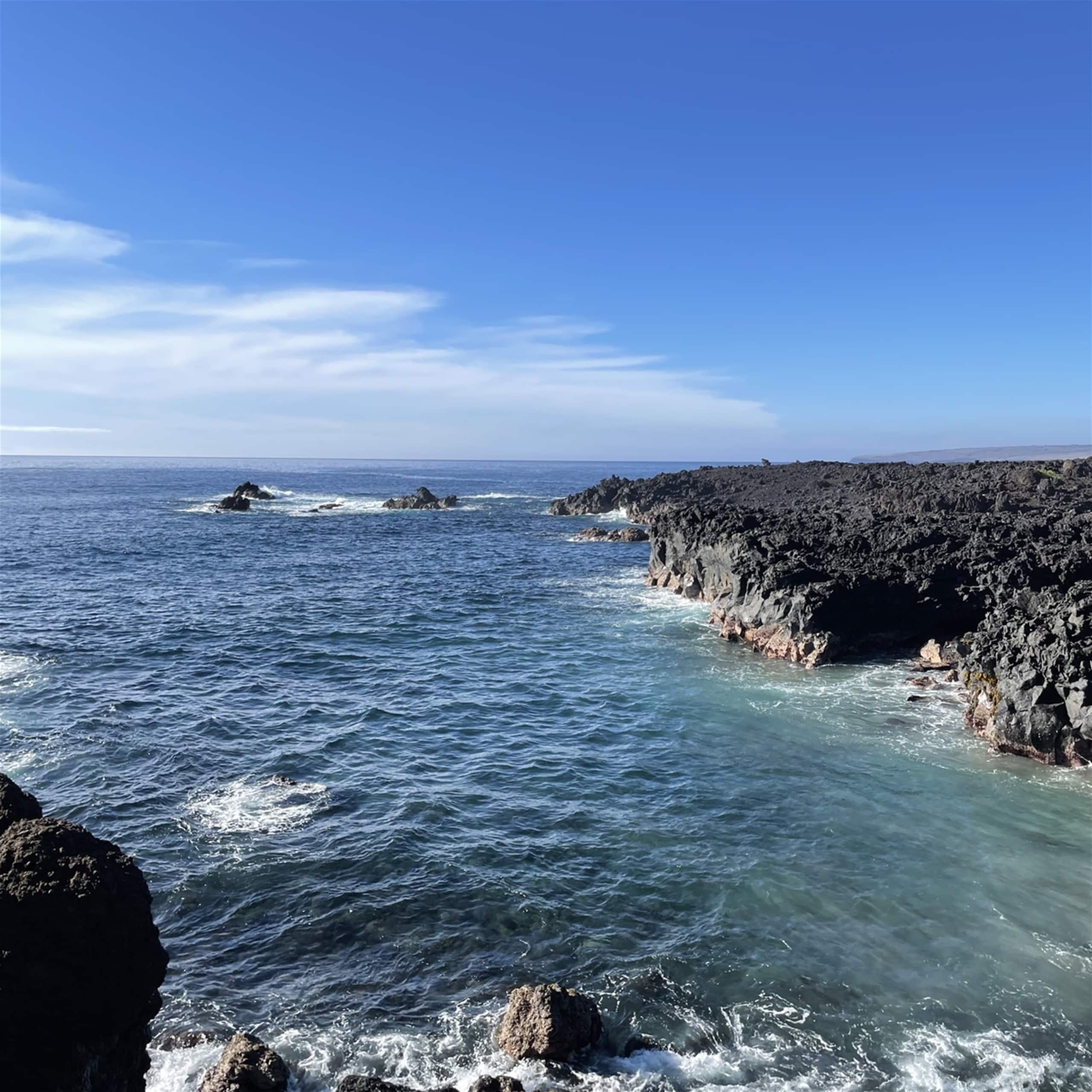 Condo in Naalehu · ★4.61 · Studio · 1 bed · 1 shared bath - Image 21
