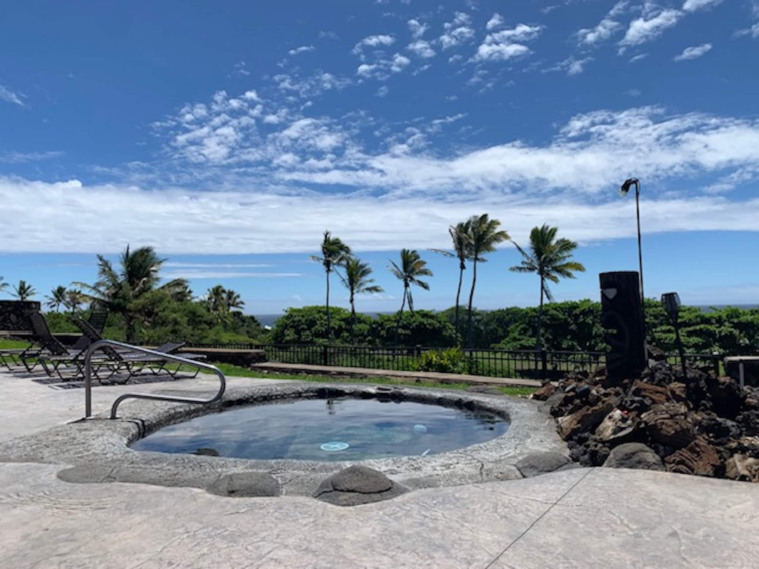 Condo in Naalehu · ★4.61 · Studio · 1 bed · 1 shared bath - Image 24
