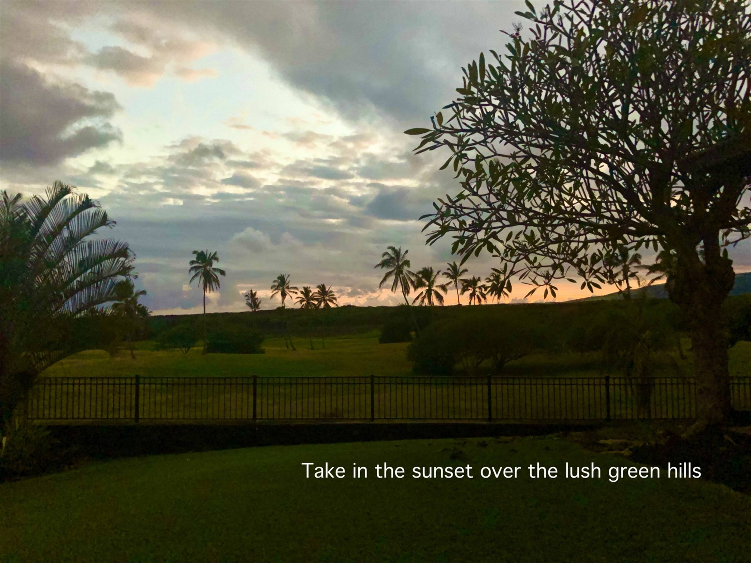 Condo in Naalehu · ★4.61 · Studio · 1 bed · 1 shared bath - Image 18