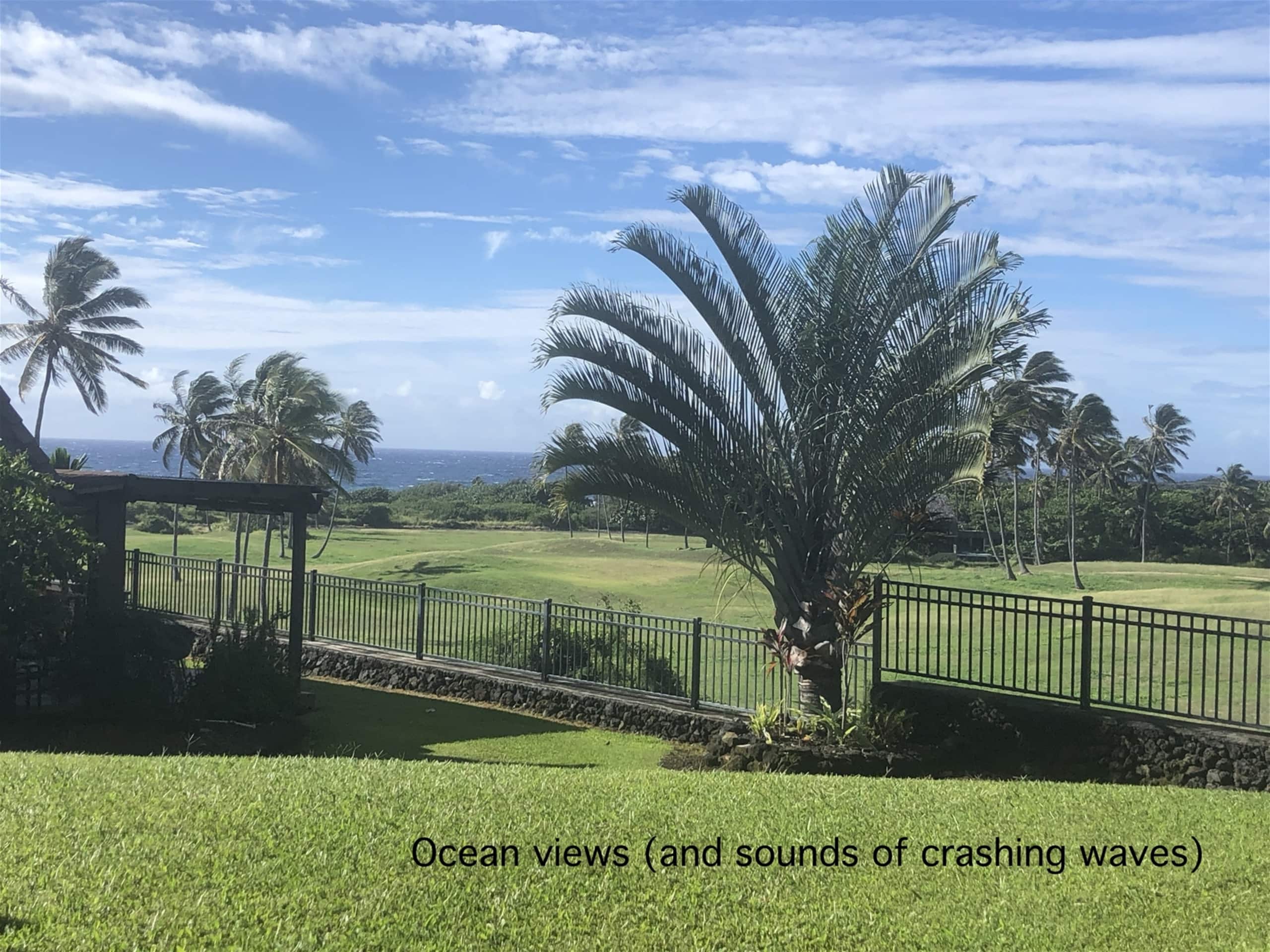 Condo in Naalehu · ★4.61 · Studio · 1 bed · 1 shared bath - Image 17