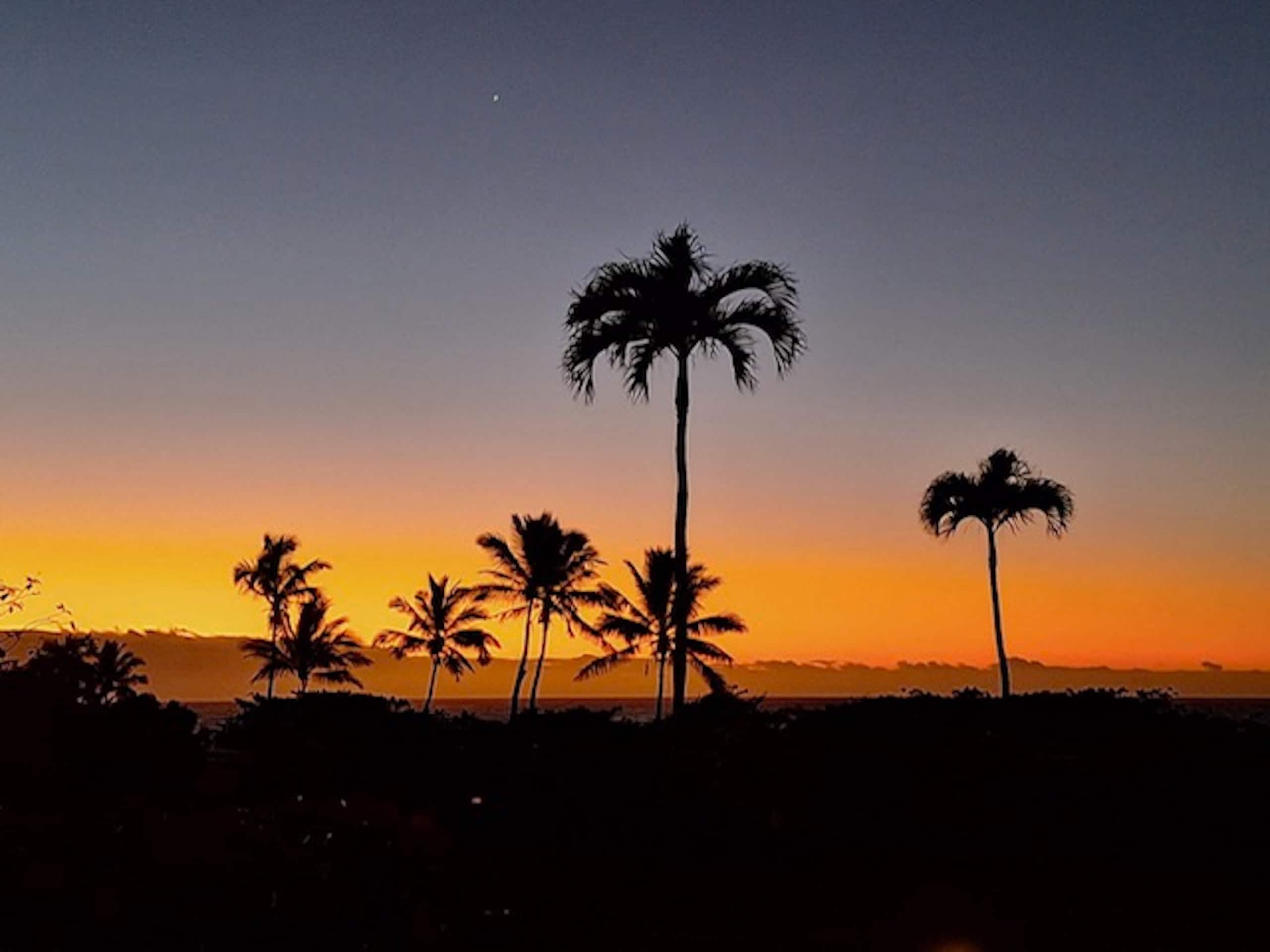 Condo in Naalehu · ★4.61 · Studio · 1 bed · 1 shared bath - Image 26