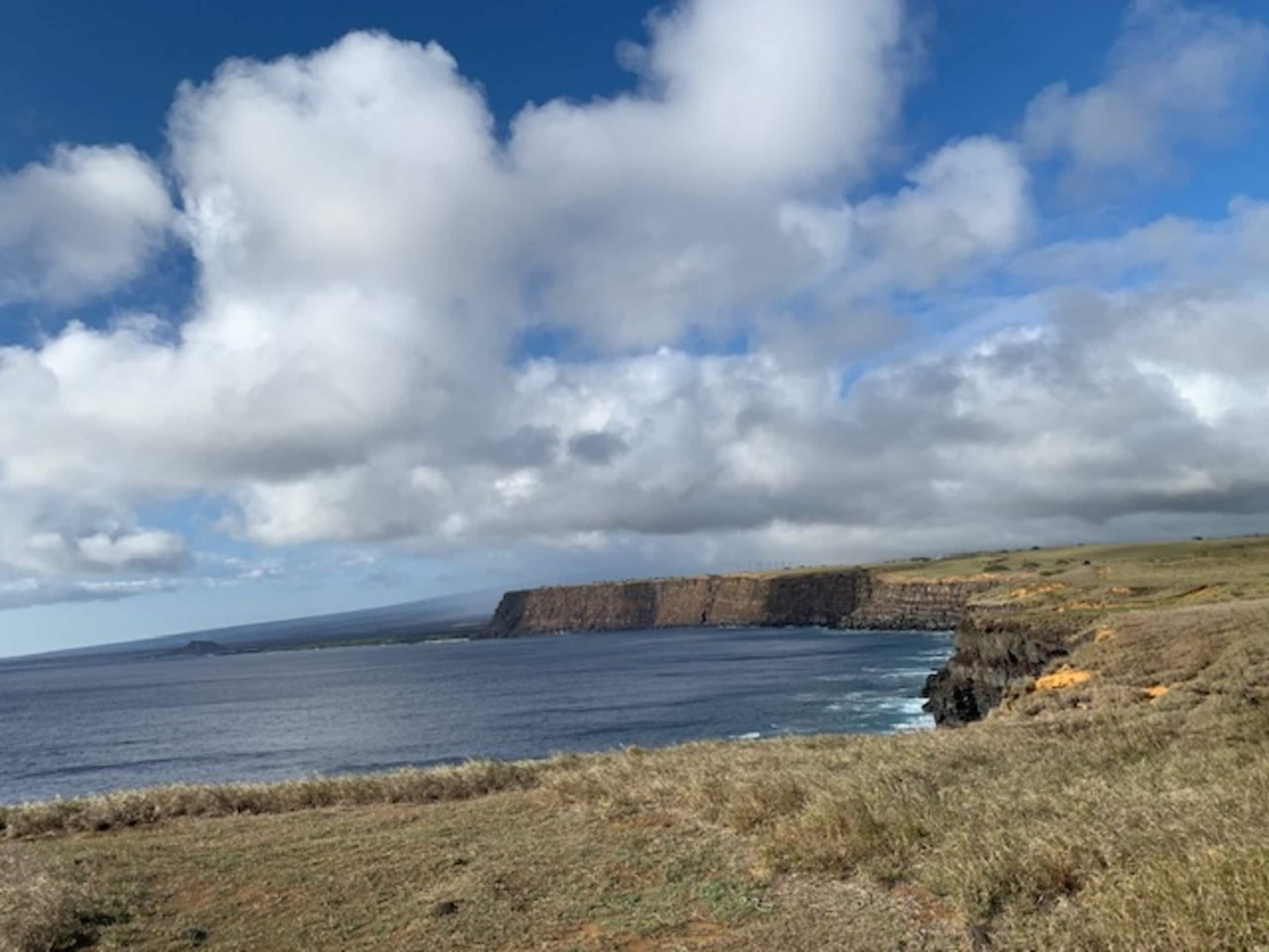 Condo in Naalehu · ★4.61 · Studio · 1 bed · 1 shared bath - Image 34