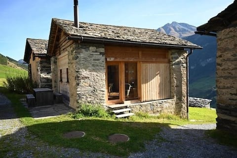 Holiday home for 4 guests with 59m² in Vals (150210)