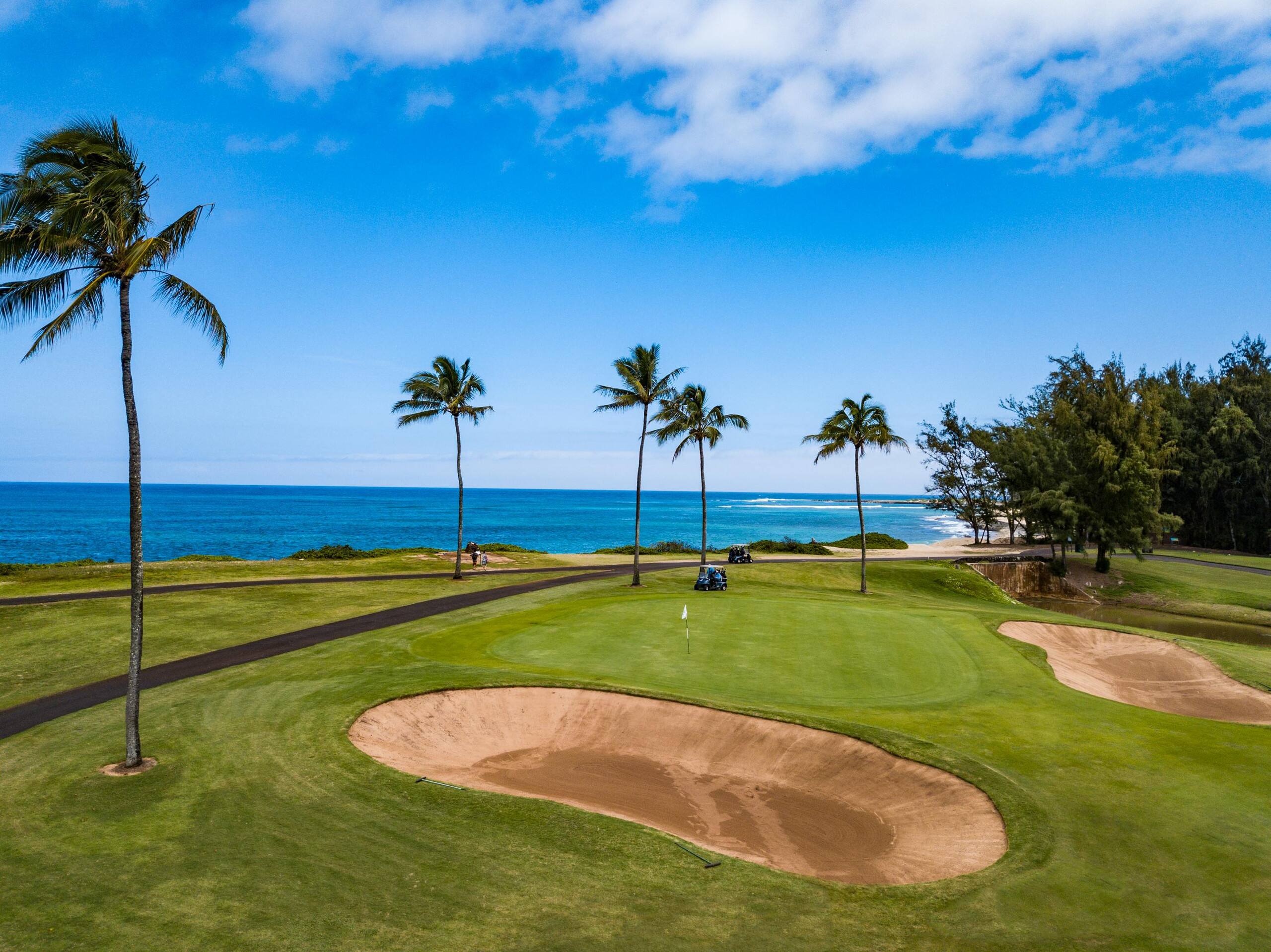 Villa in Kahuku · ★4.94 · Studio · 2 beds · 1 private bath - Image 29