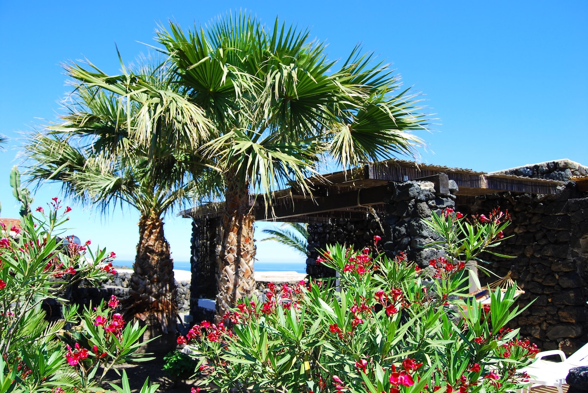 Lush greenery features prominently in the outdoor space, with palm trees and vibrant flowering plants surrounding a stone structure. The clear blue sky overhead creates a bright atmosphere, enhancing the natural surroundings.