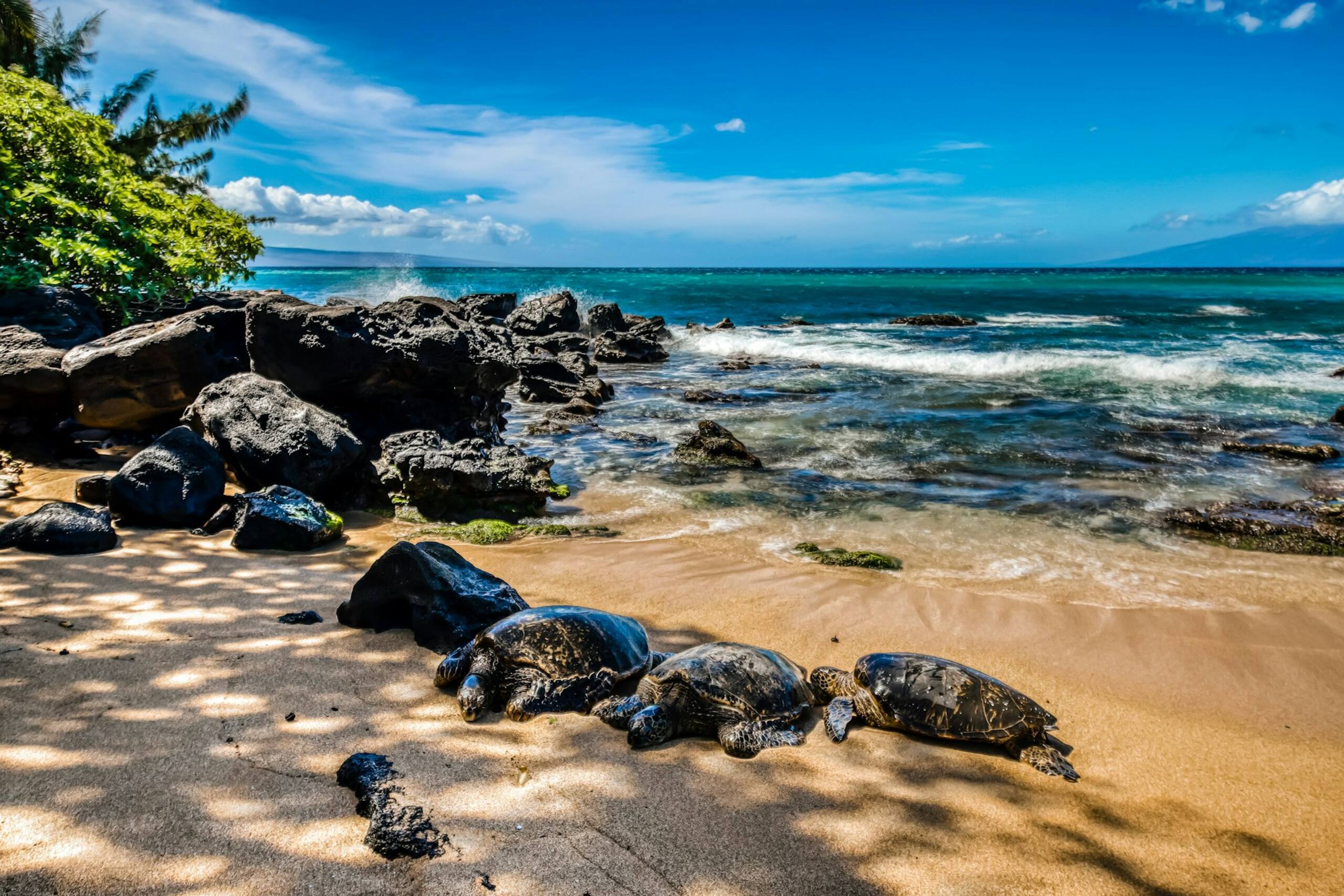 Apartment in Lahaina · ★4.47 · 2 bedrooms · 2 beds · 2 private bathrooms - Image 24