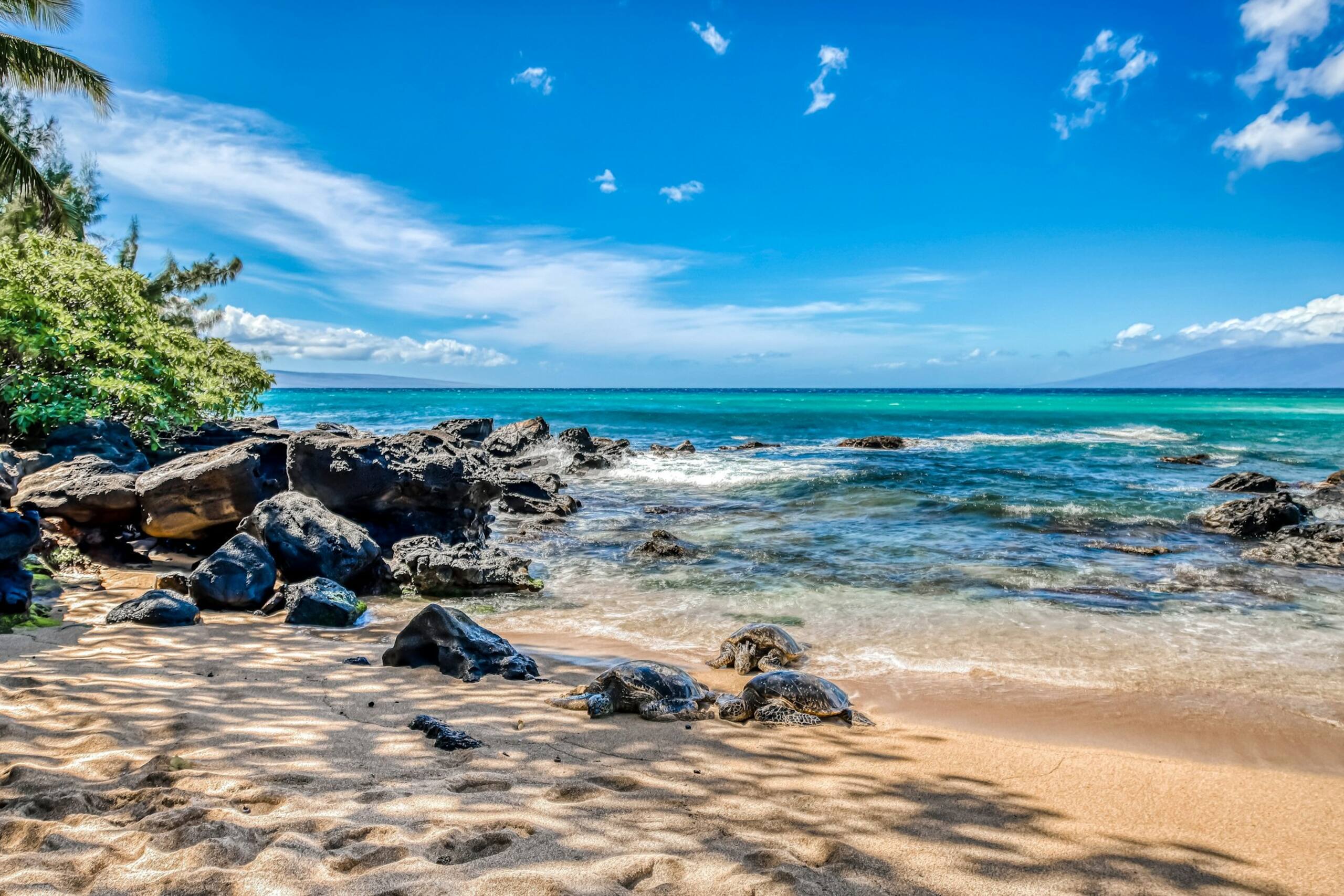Apartment in Lahaina · ★4.47 · 2 bedrooms · 2 beds · 2 private bathrooms - Image 29