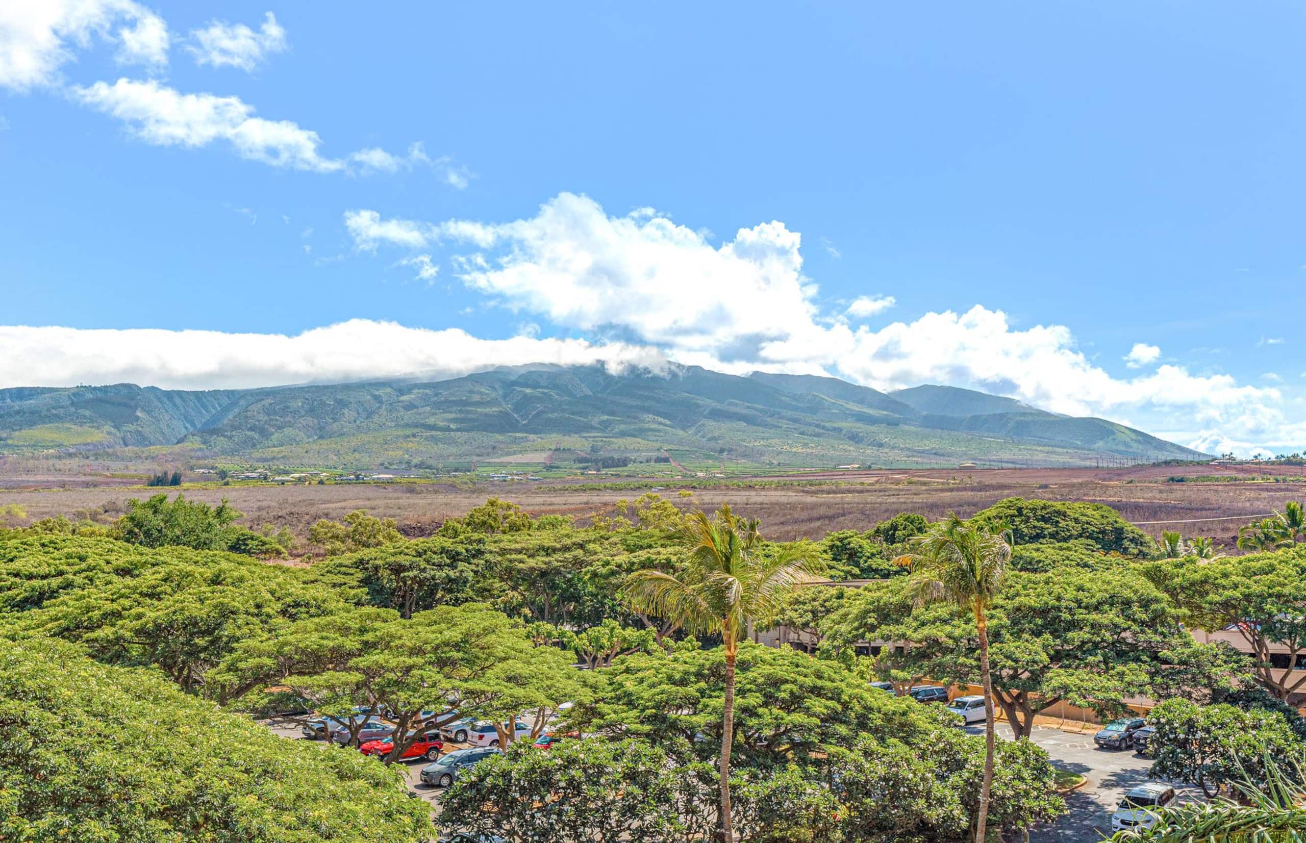 Condo in Lahaina · ★4.97 · 1 bedroom · 2 beds · 1 bath - Image 7