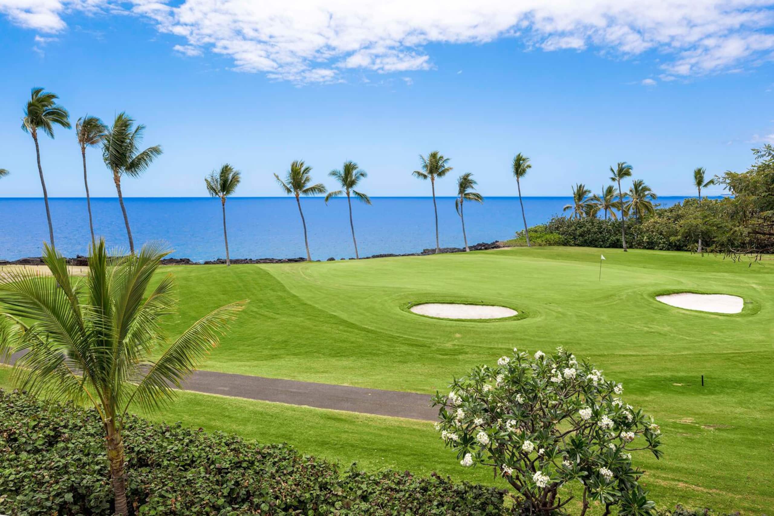 Home in Kailua-Kona · ★4.96 · 3 bedrooms · 7 beds · 3 baths - Image 49