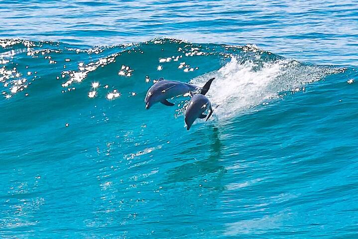 Huey’s Lookout gallery image 4