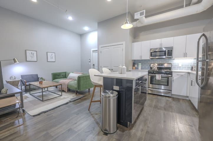 Boston Common Loft w/ in-unit washer dryer