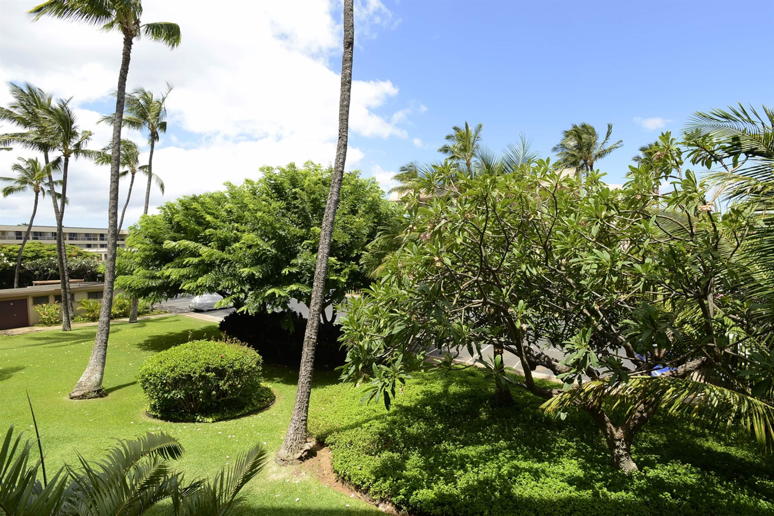 Condo in Kihei · ★4.82 · 2 bedrooms · 4 beds · 2 private baths - Image 9