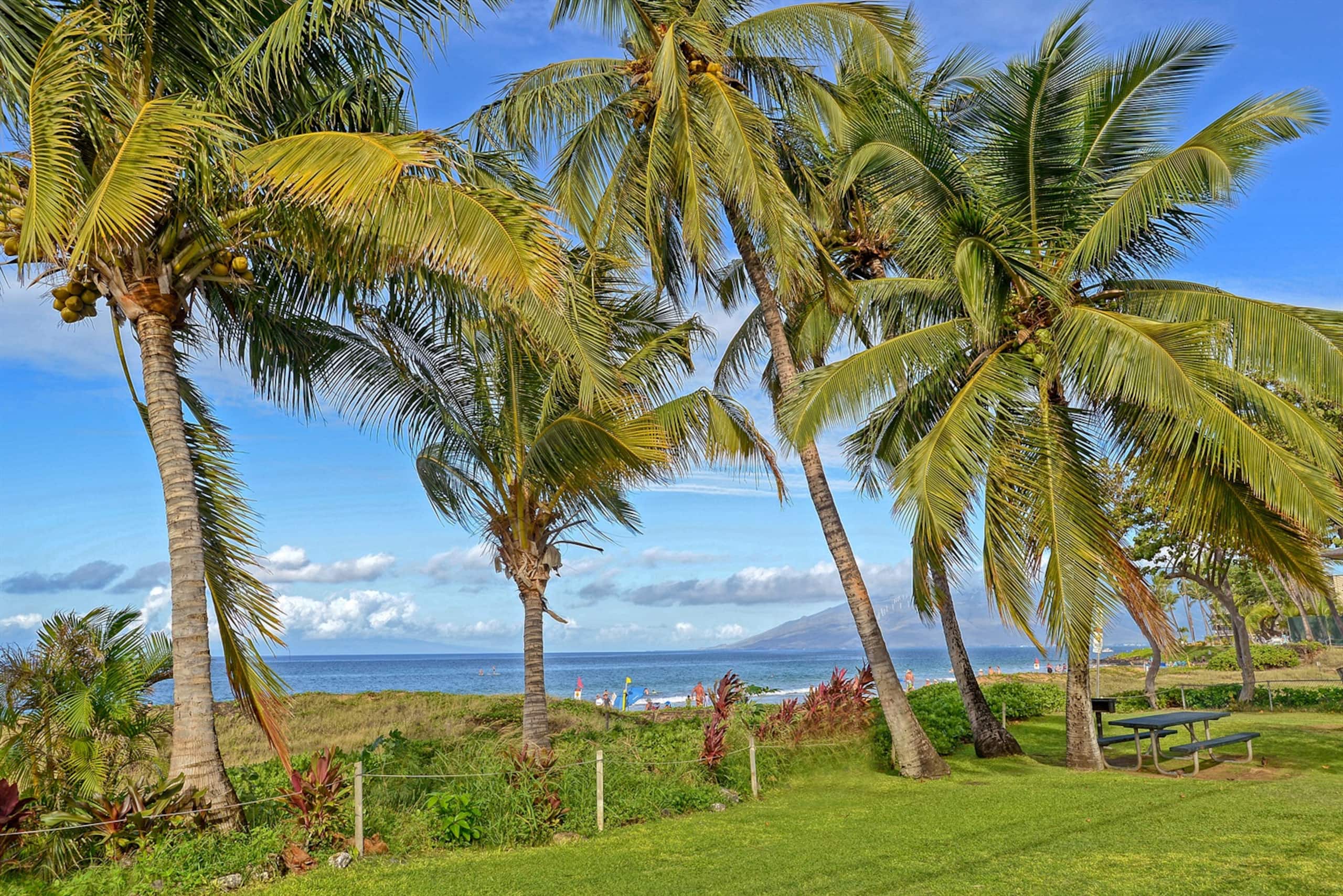 Condo in Kihei · ★4.82 · 2 bedrooms · 4 beds · 2 private baths - Image 25