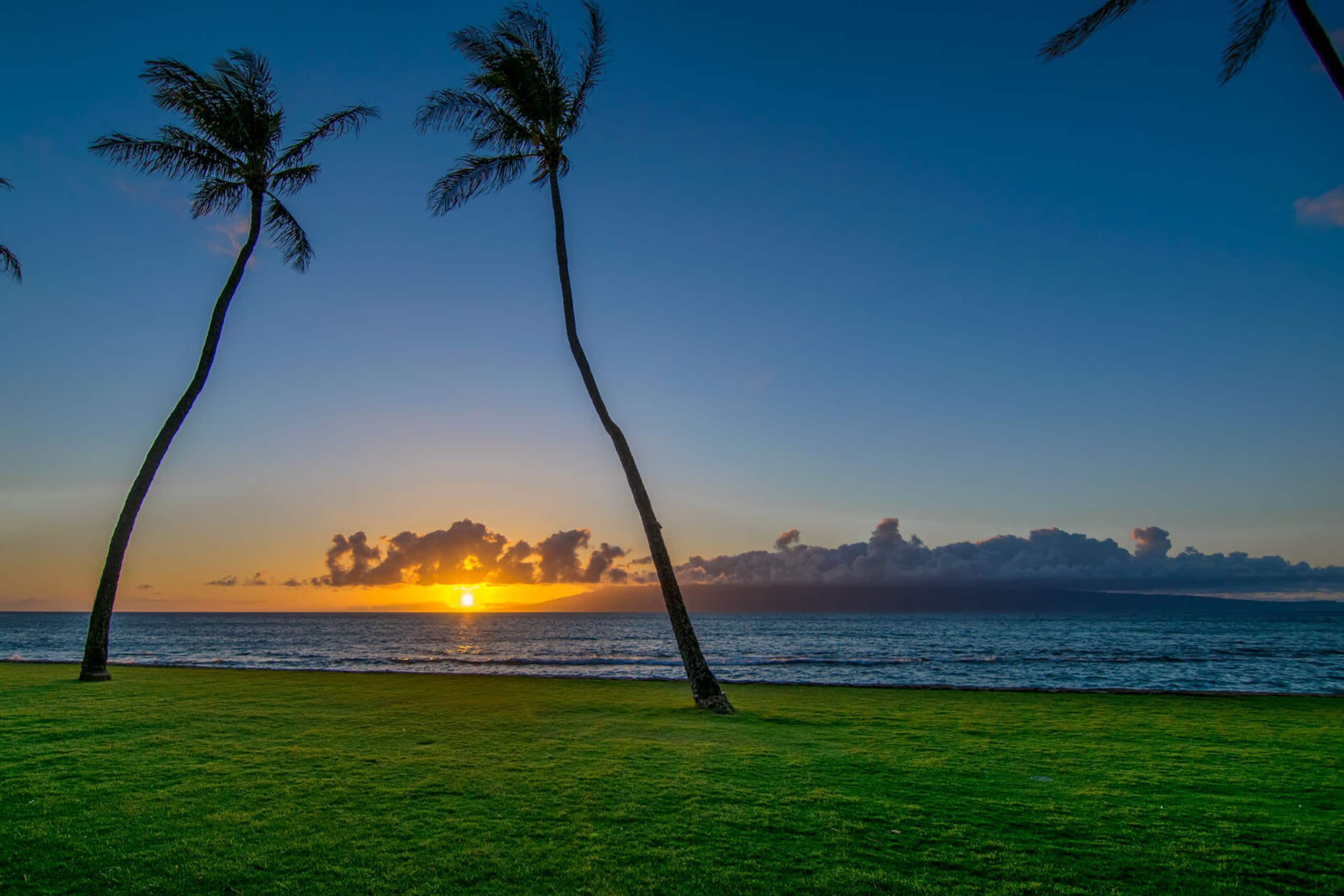 Condo in Lahaina · ★4.86 · 1 bedroom · 2 beds · 1 private bath - Image 29