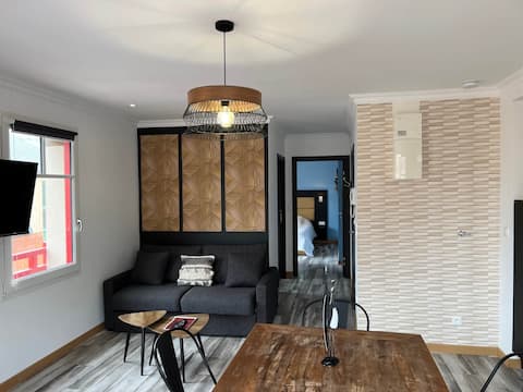 Successful Airbnb property: Beach 50 m away. Dreams of the sea - "Les Bains de Mers" in Mers Les Bains