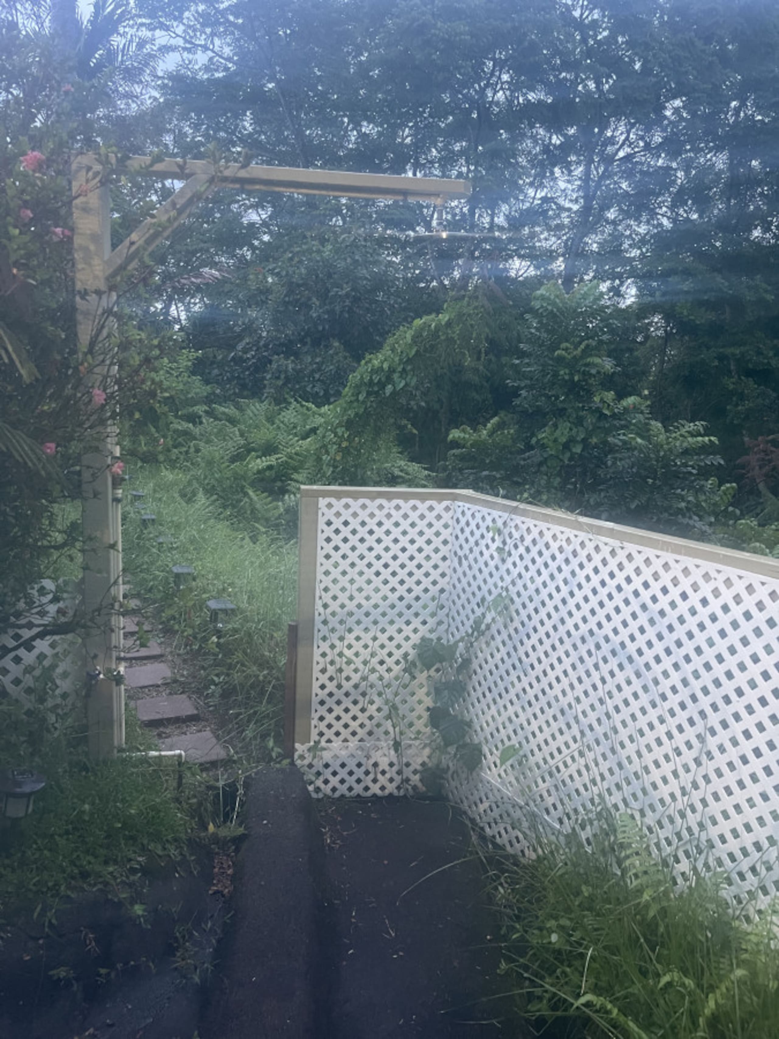 Awesome jungle view loft just 5 minutes to Hilo! - Photo 40