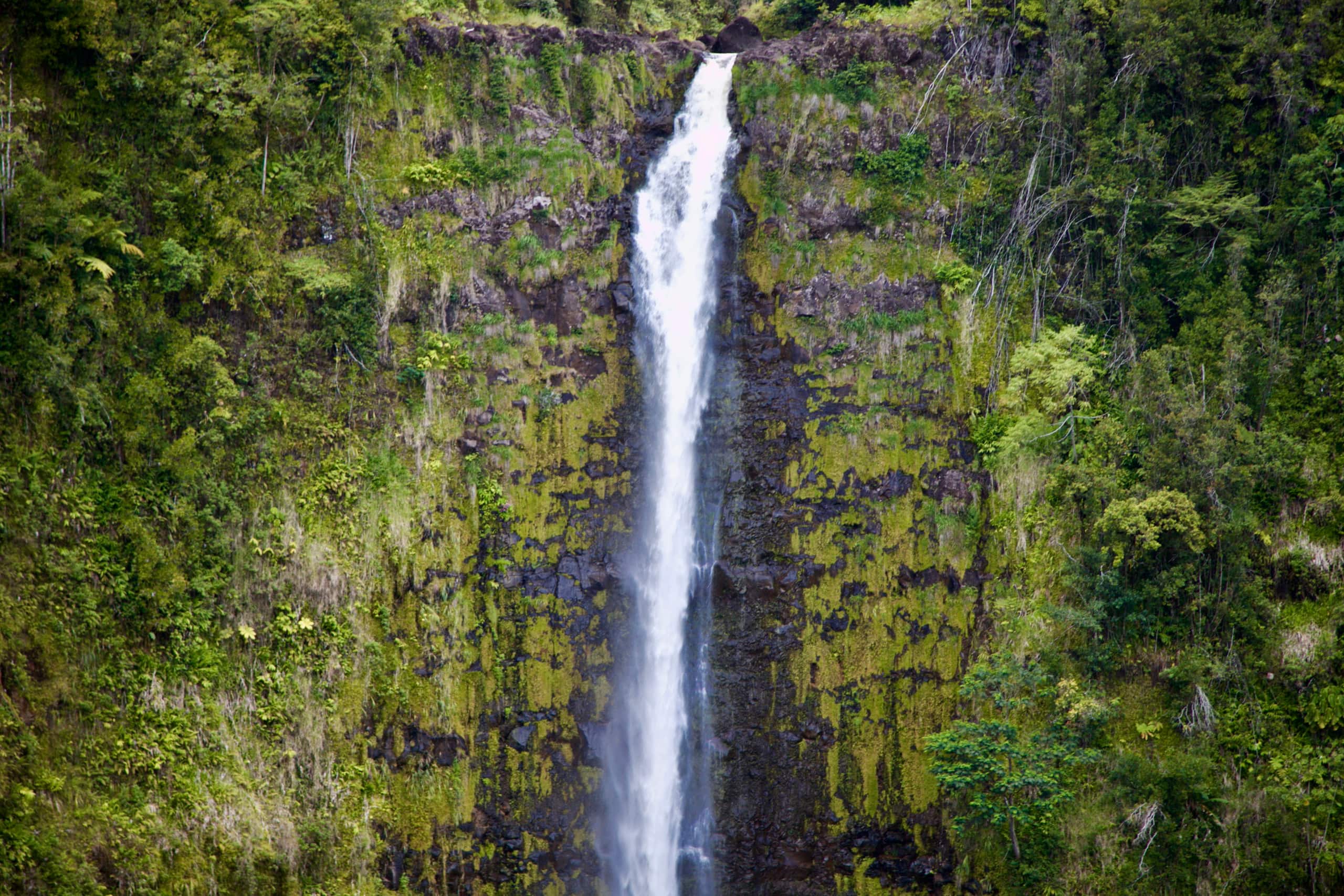 Home in Volcano · ★4.92 · 2 bedrooms · 2 beds · 1.5 baths - Image 27
