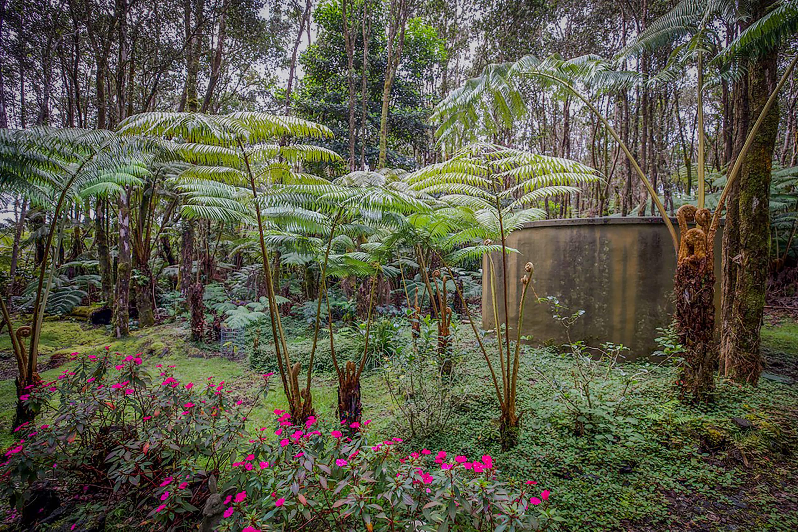Home in Volcano · ★4.92 · 2 bedrooms · 2 beds · 1.5 baths - Image 19
