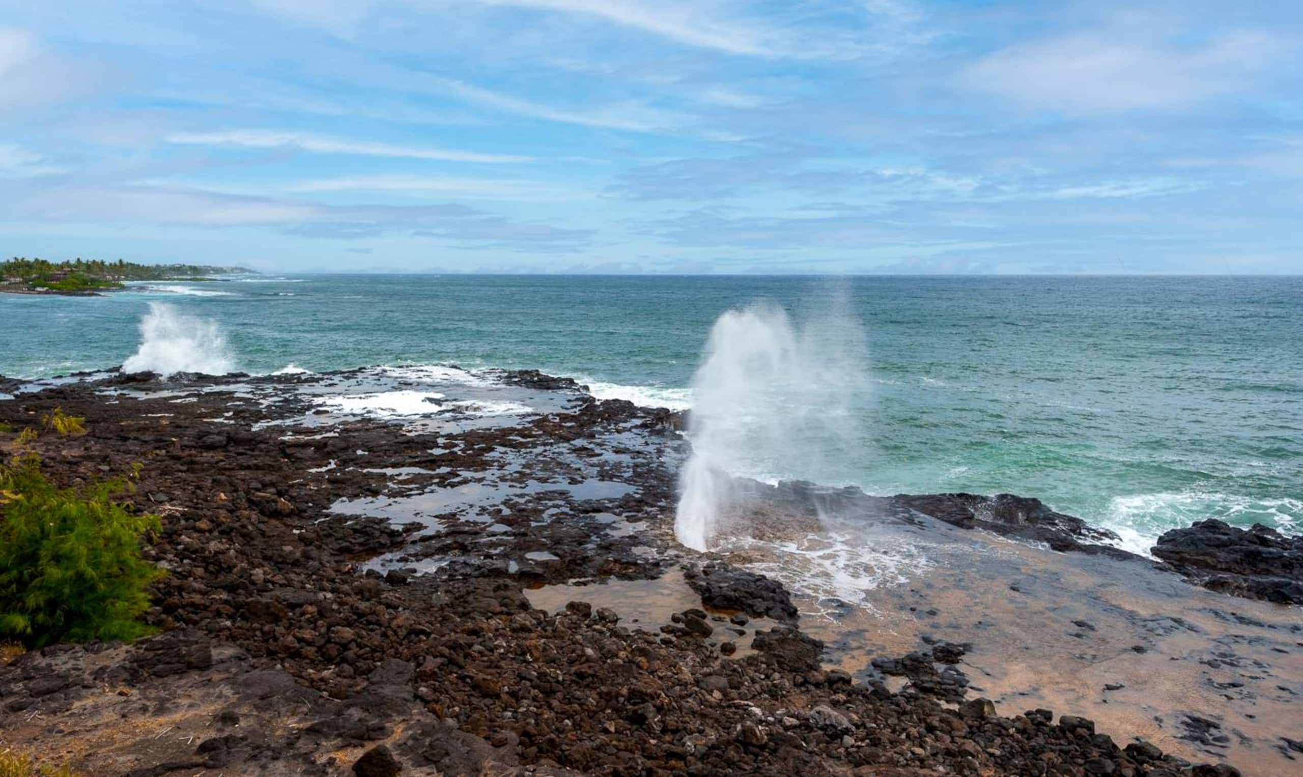 Condo in Koloa · ★4.35 · 1 bedroom · 1 bed · 1 bath - Image 40