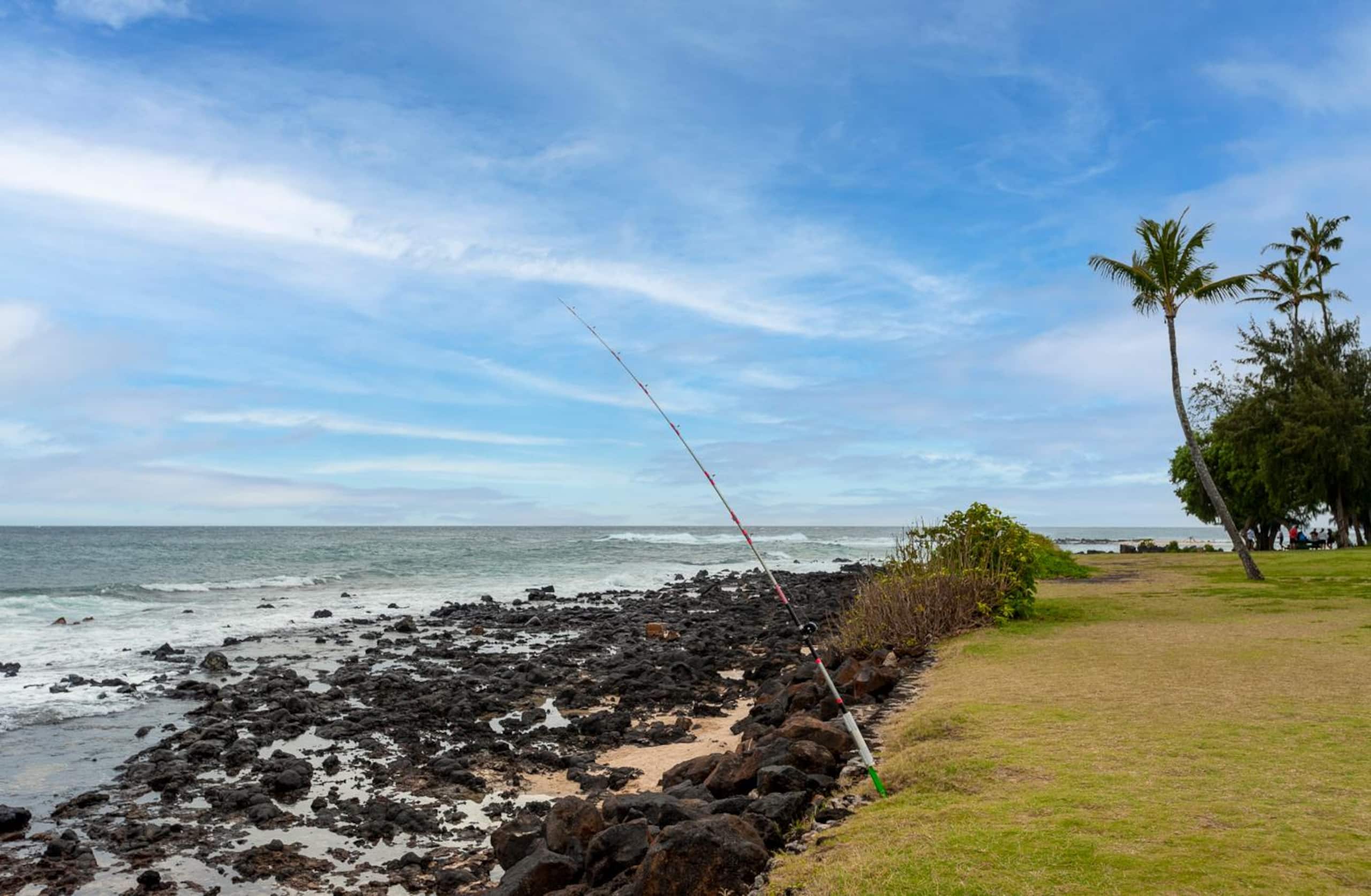 Condo in Koloa · ★4.35 · 1 bedroom · 1 bed · 1 bath - Image 38