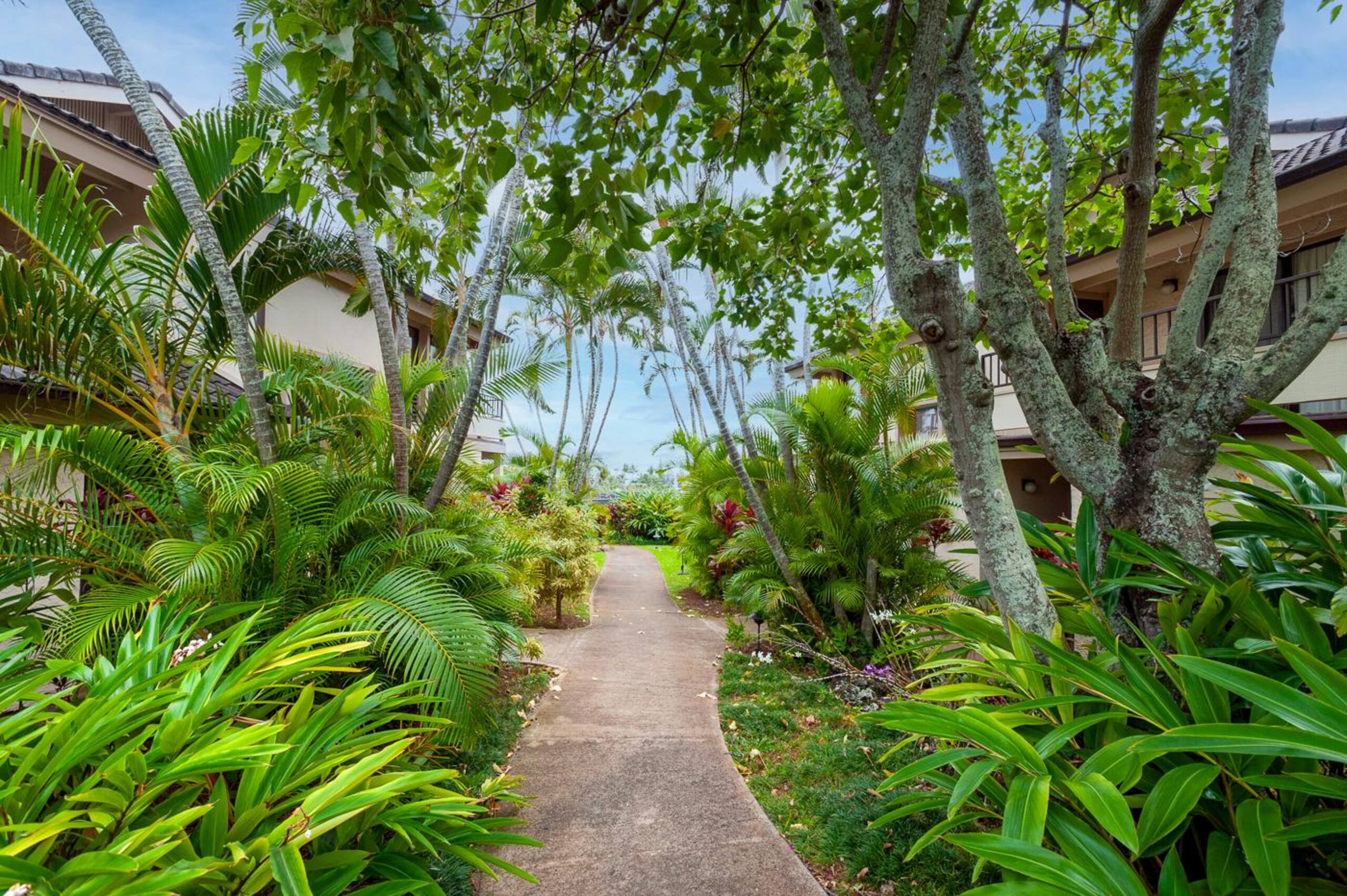 Condo in Koloa · ★4.35 · 1 bedroom · 1 bed · 1 bath - Image 43