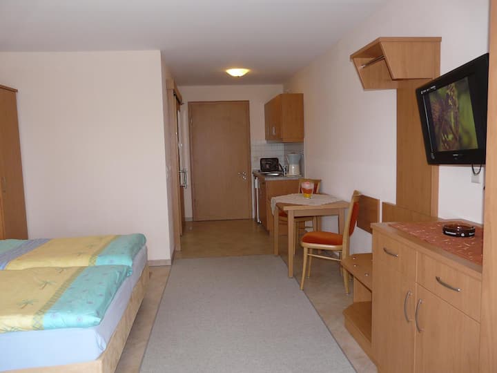 Großzügiges Und Freundlich Eingerichtetes Appartement (38qm) Mit Modernem Dusch-badezimmer - Sankt Englmar