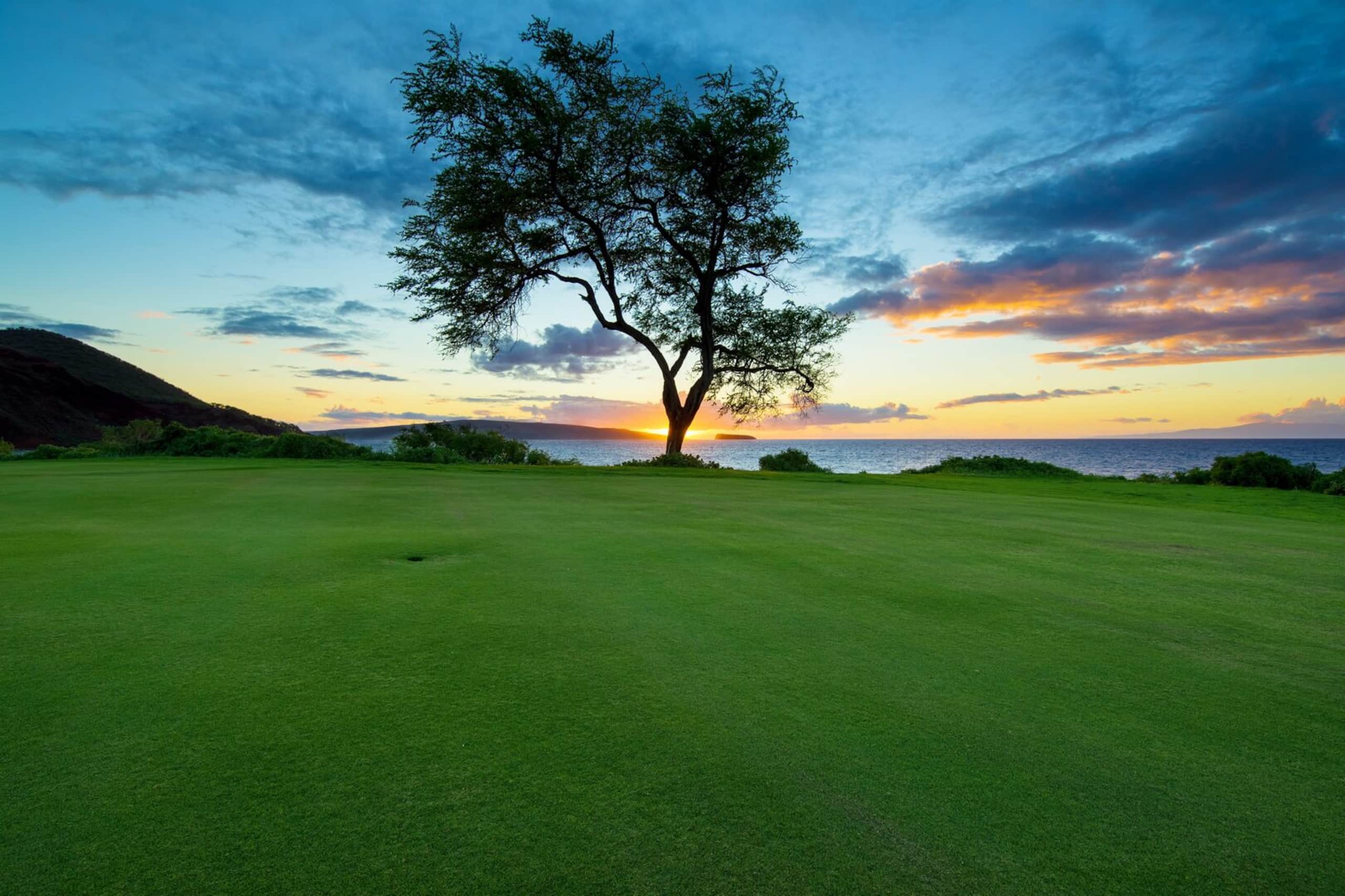 Condo in Kihei · ★4.75 · 2 bedrooms · 3 beds · 2 baths - Image 40