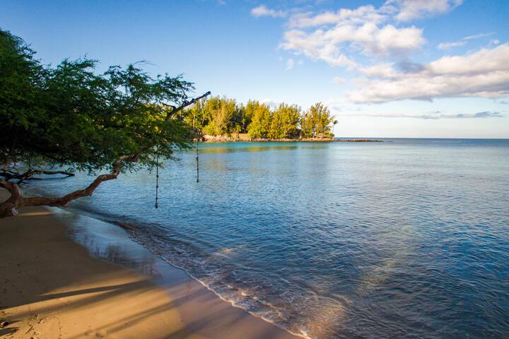 Beachfront Hui Pu w/ Gardens gallery image 5