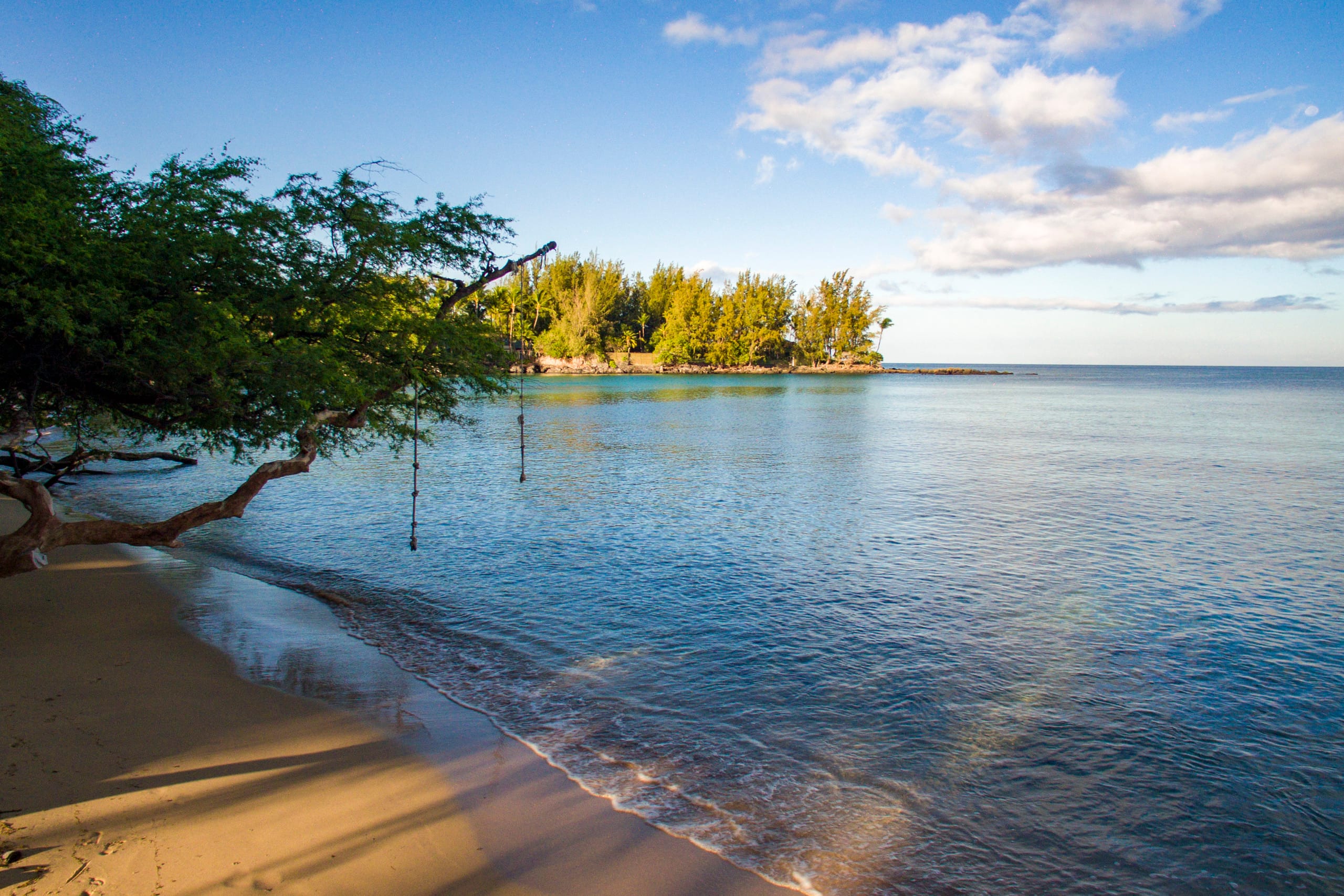 Home in Waimea · ★5.0 · 4 bedrooms · 8 beds · 4.5 baths - Image 5