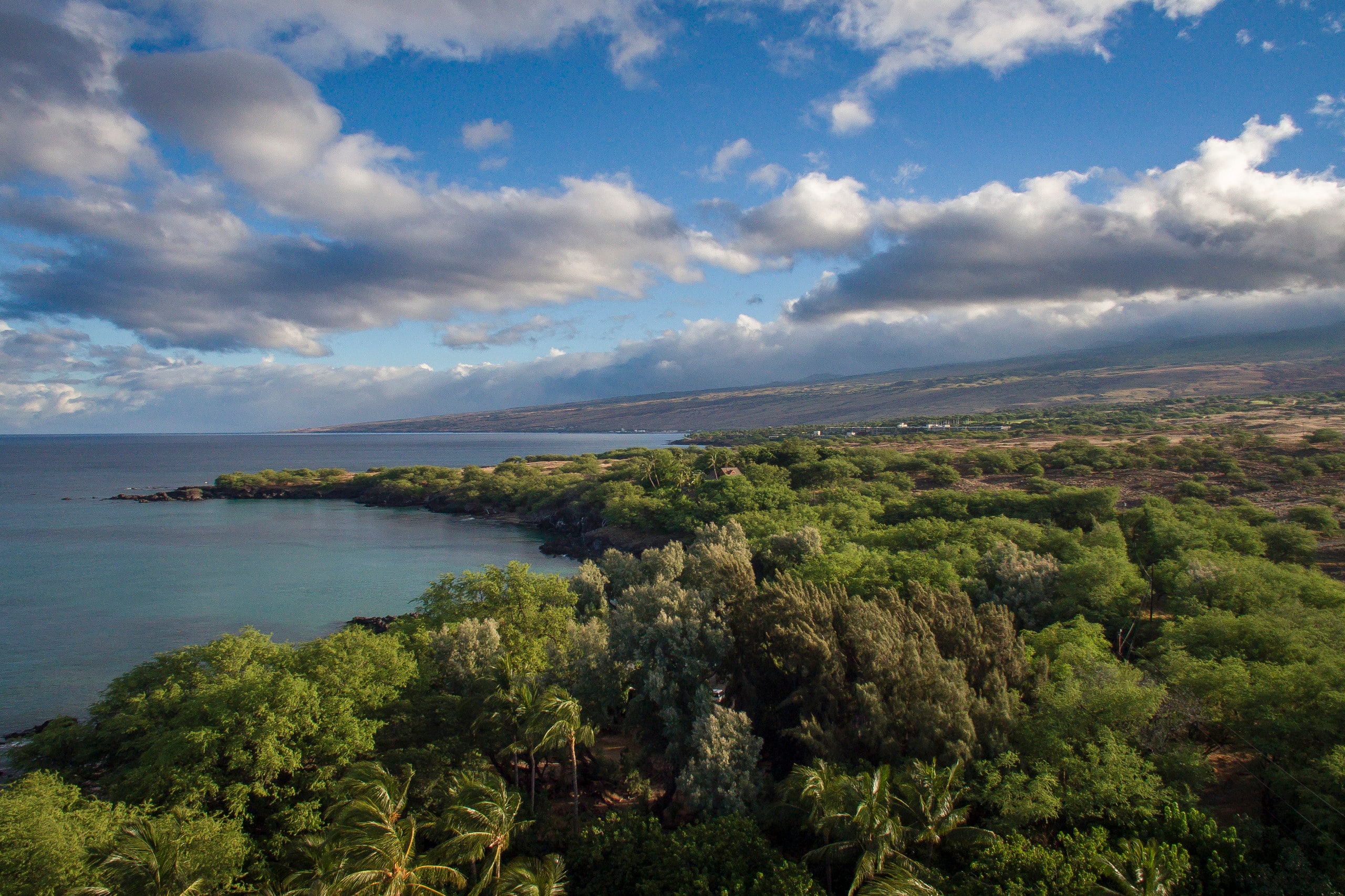 Home in Waimea · ★5.0 · 4 bedrooms · 8 beds · 4.5 baths - Image 24