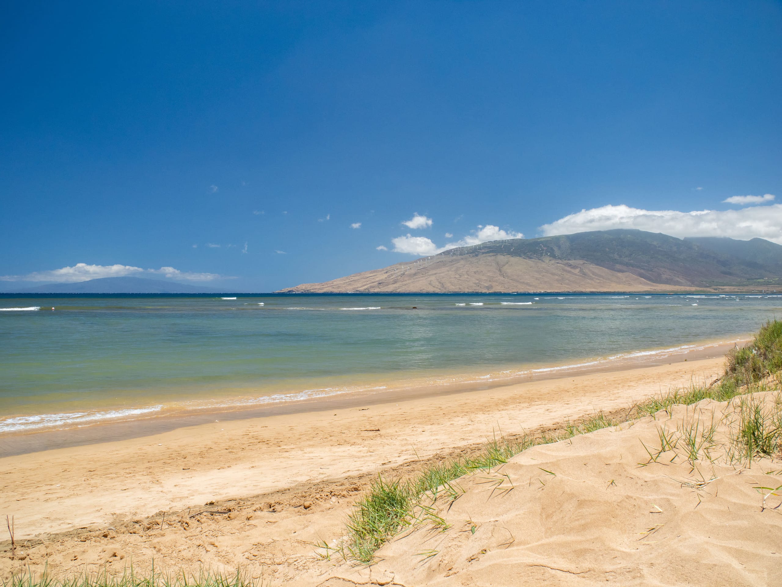 Condo in Kihei · ★5.0 · 1 bedroom · 1 bed · 1 bath - Image 30