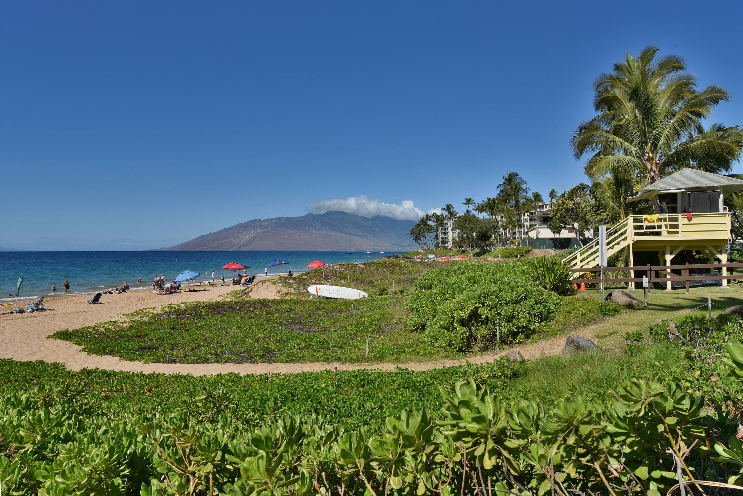 Condo in Kihei · ★4.76 · 2 bedrooms · 3 beds · 2 private baths - Image 42