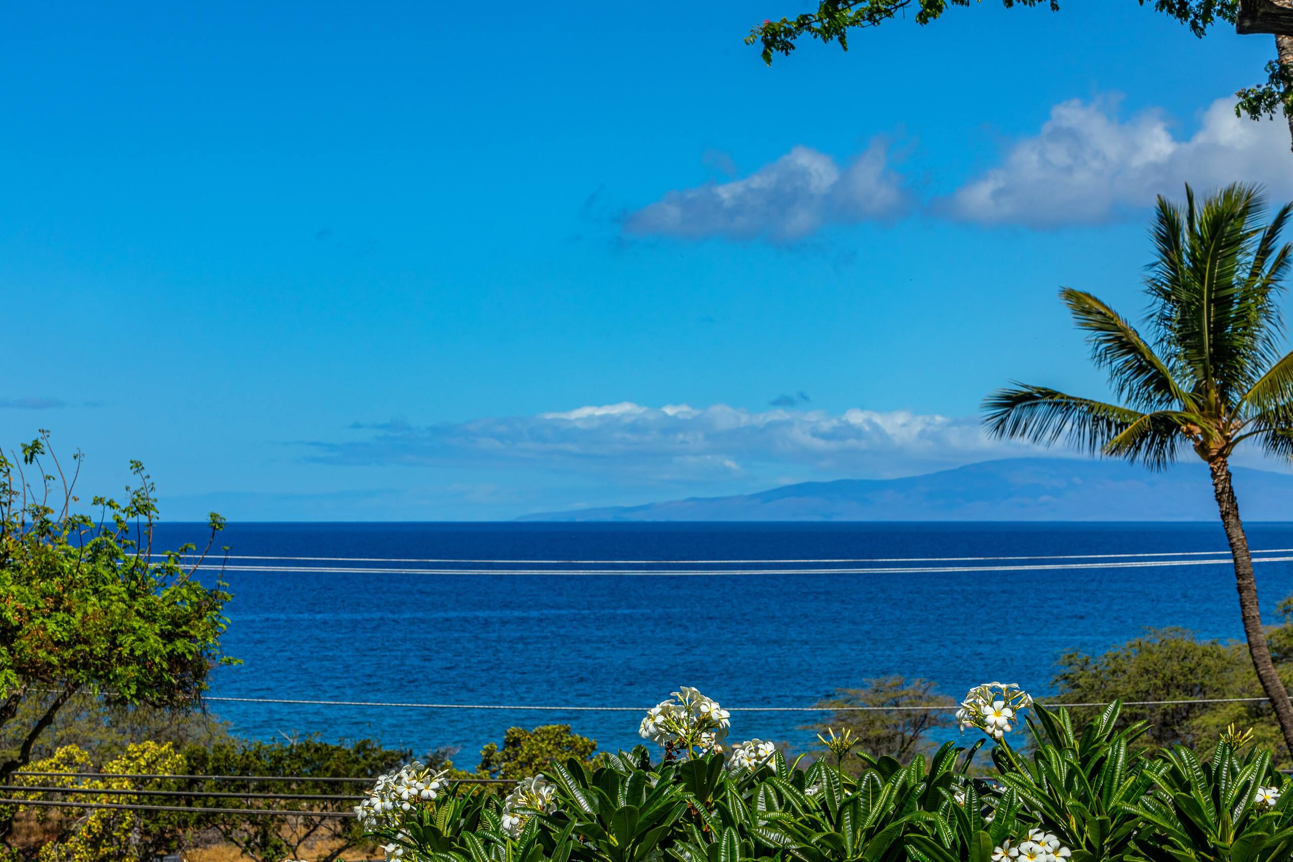Condo in Kihei · ★4.91 · 1 bedroom · 2 beds · 2 private baths - Image 41