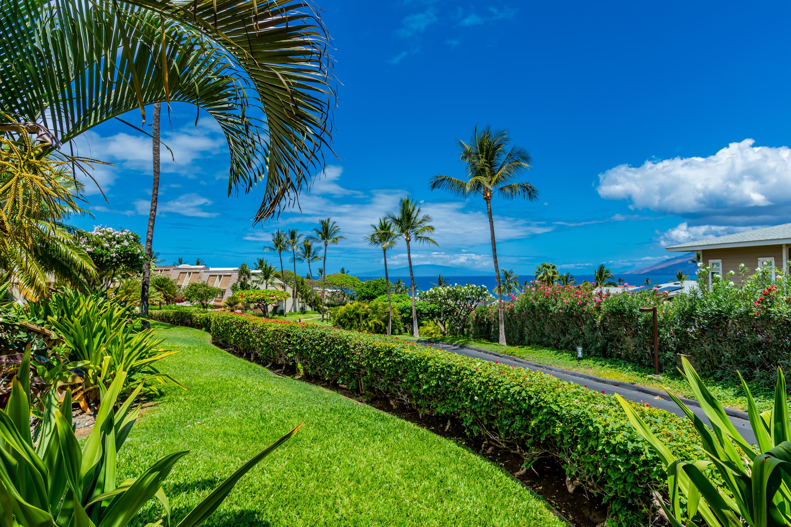 Condo in Kihei · ★4.91 · 1 bedroom · 2 beds · 2 private baths - Image 37