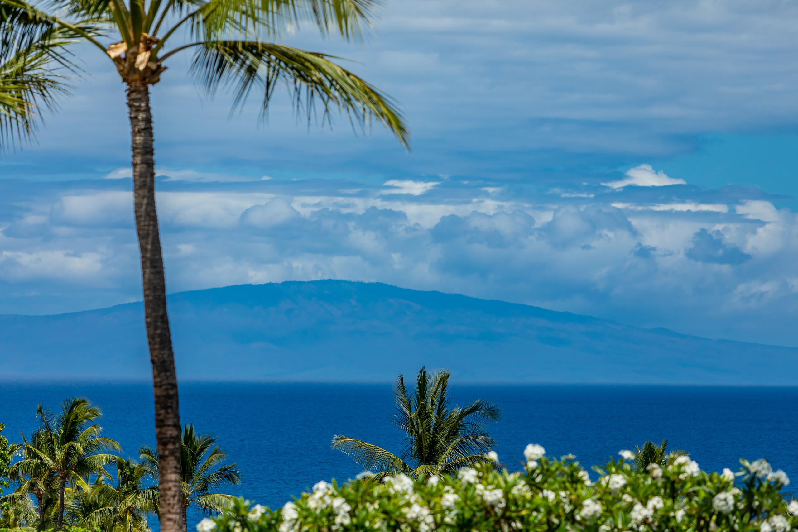 Condo in Kihei · ★4.91 · 1 bedroom · 2 beds · 2 private baths - Image 35