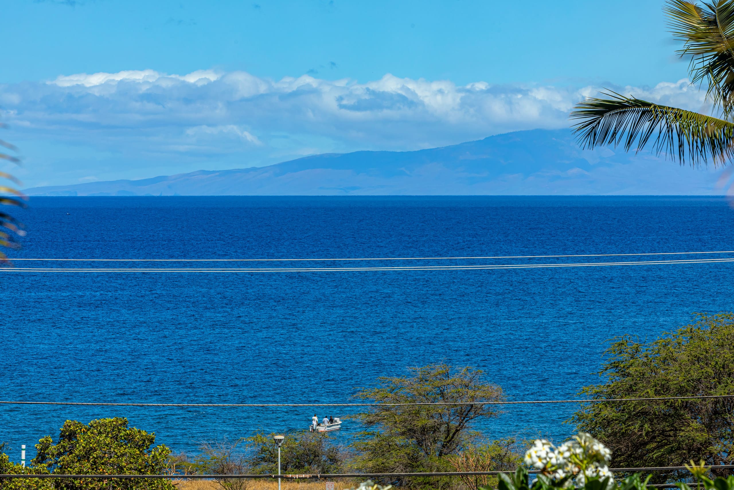 Condo in Kihei · ★4.91 · 1 bedroom · 2 beds · 2 private baths - Image 40