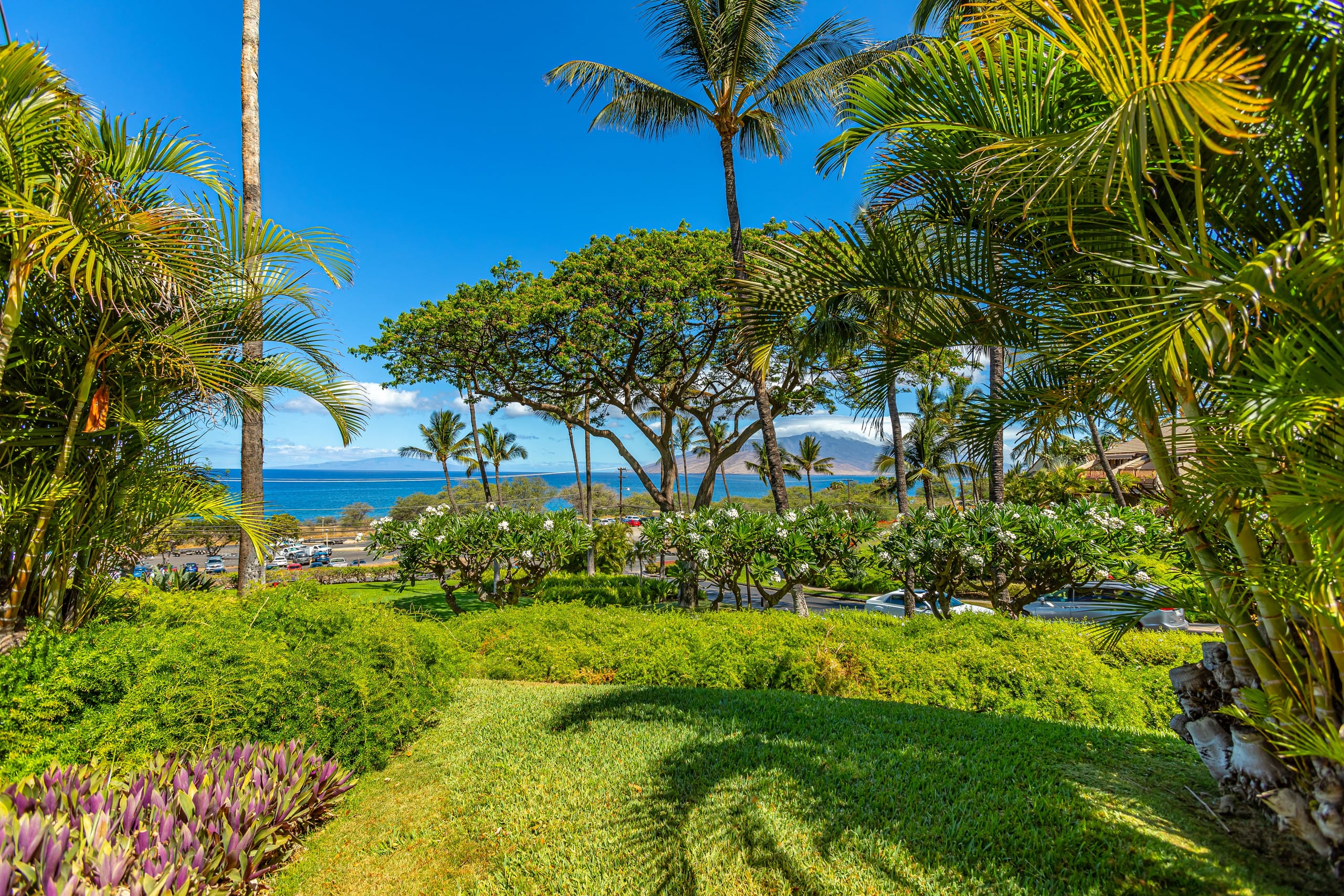 Condo in Kihei · ★4.91 · 1 bedroom · 2 beds · 2 private baths - Image 1